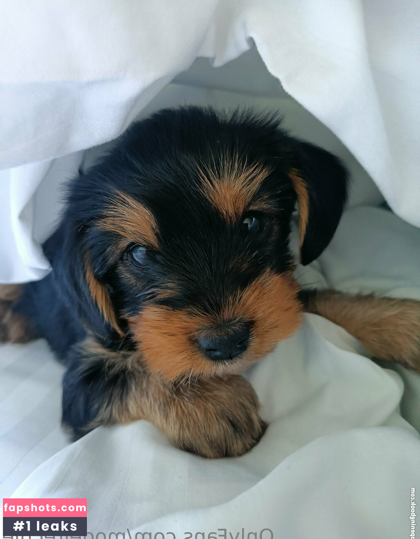 modeltechie Nude Leaks OnlyFans Photos #30 - LeakJerk