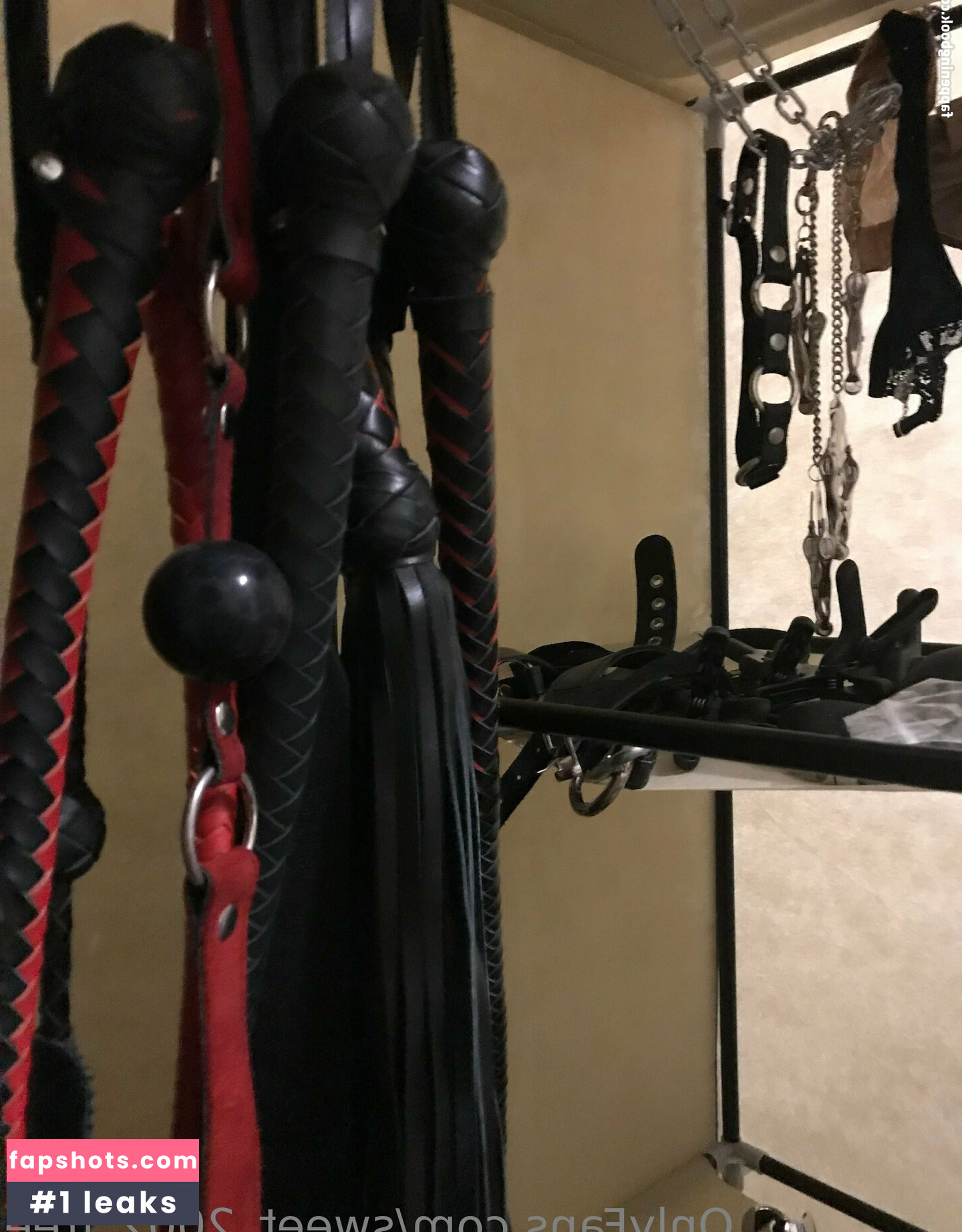 molly-dominatrix gallery photo #7