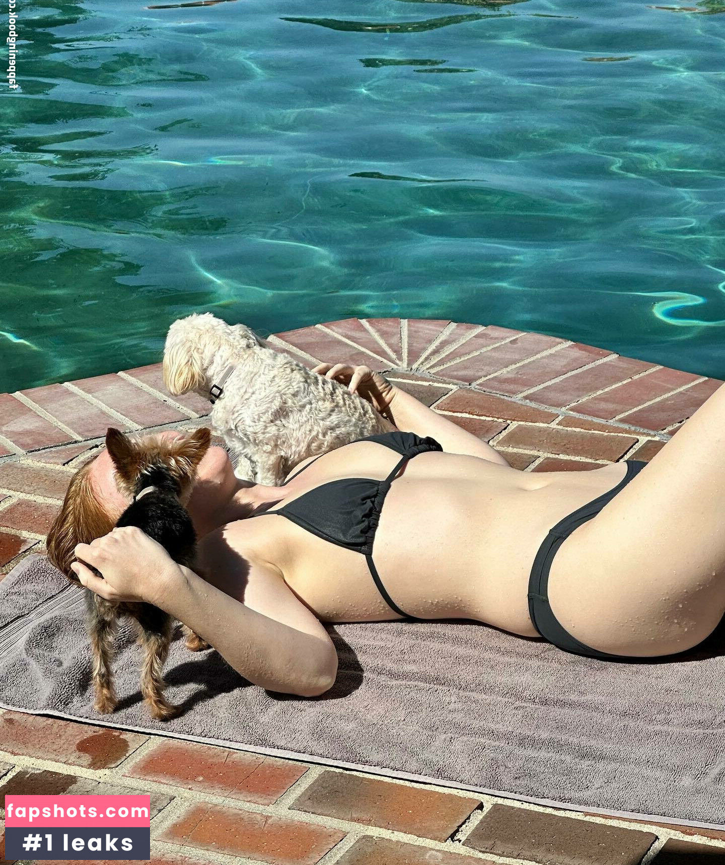 Molly Quinn gallery photo #40