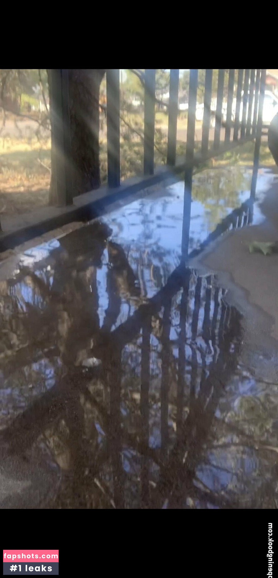 mollyjuana gallery photo #7