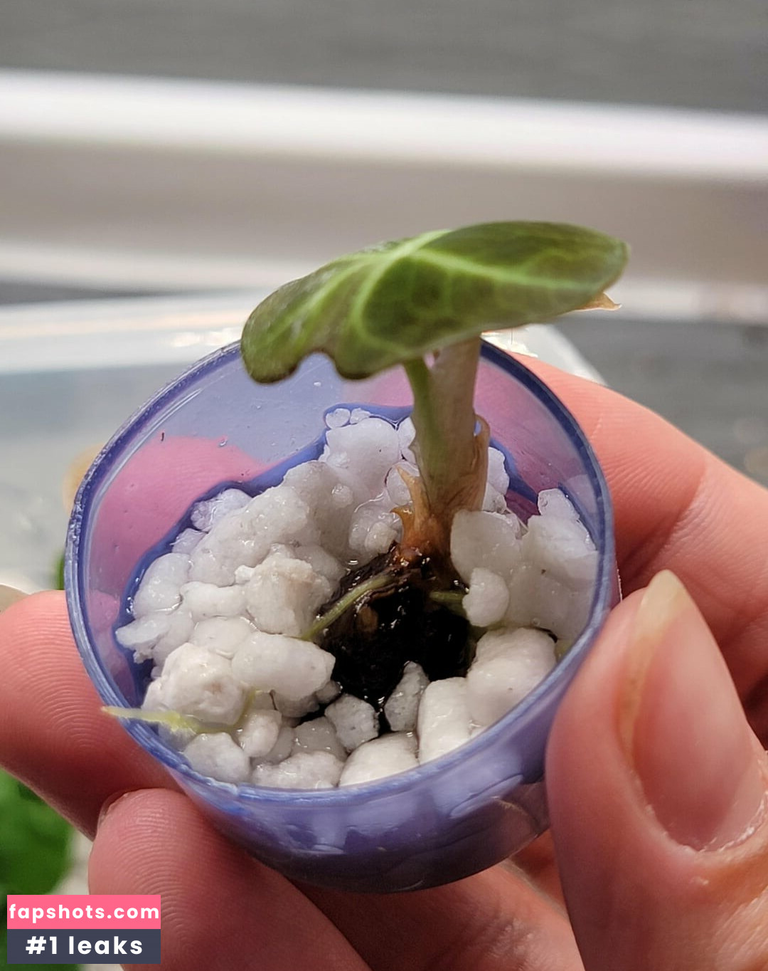 momgenes22 gallery photo #8