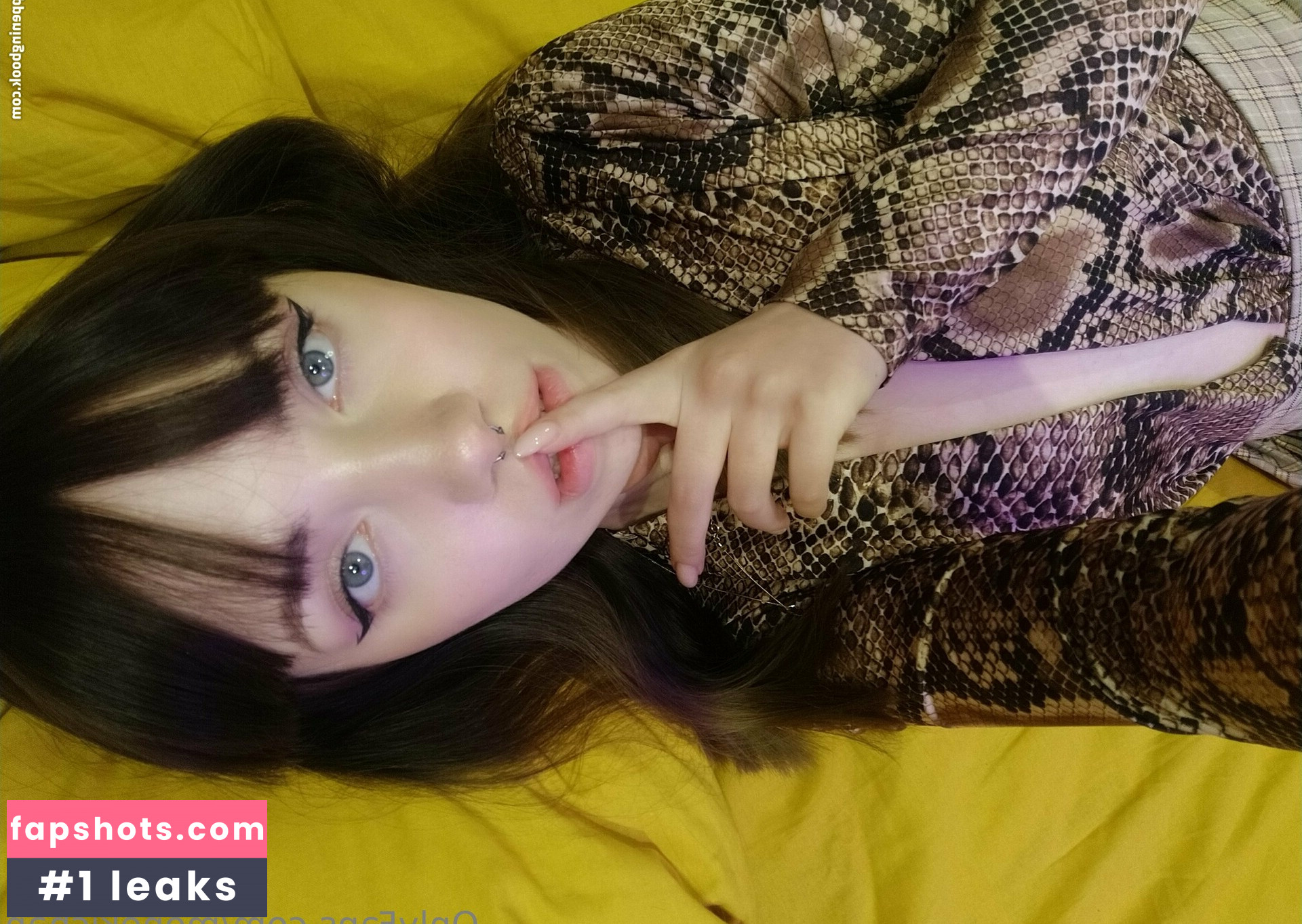 monekichan gallery photo #16