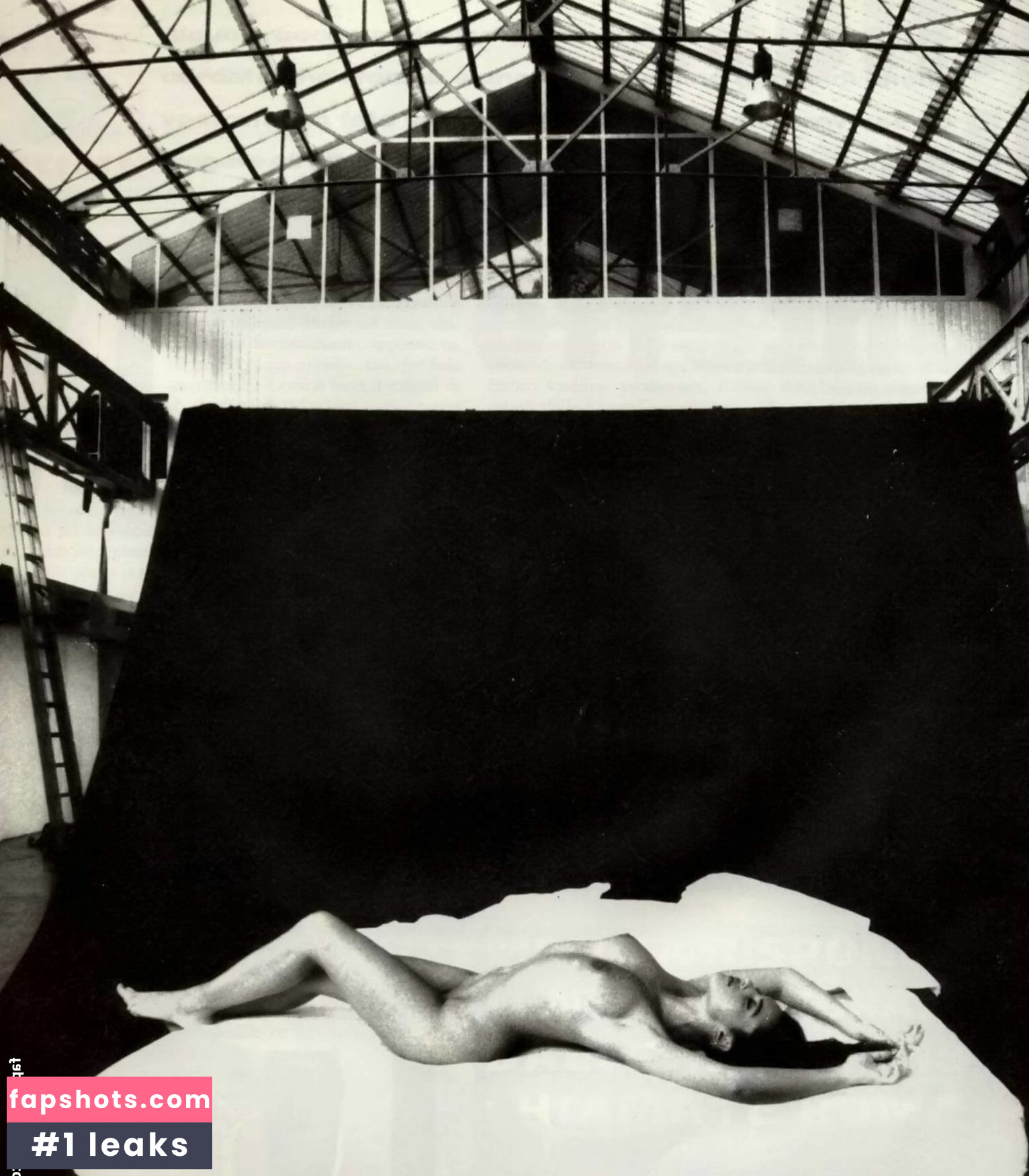 Monica Bellucci Nahé úniky fotek pouze od fanoušků #2 - Fapshots