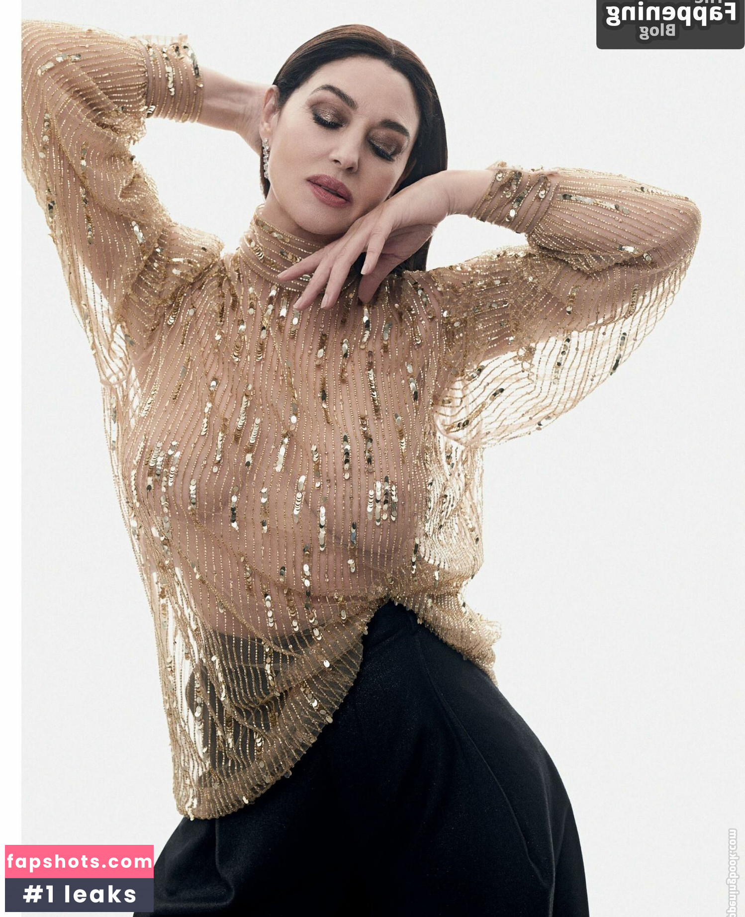 Monica Bellucci Nahé úniky fotek pouze od fanoušků #151 - Fapshots