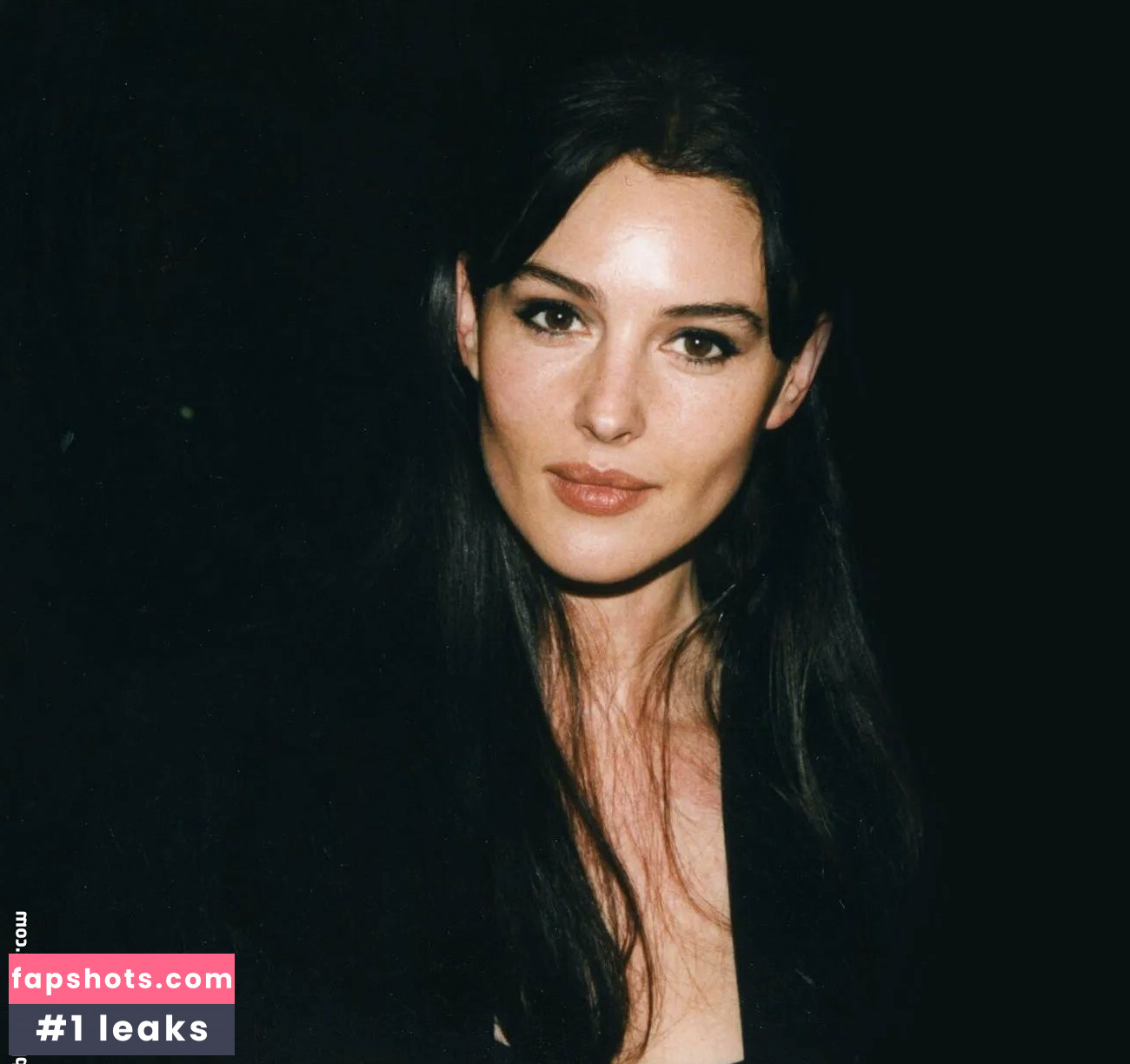 Monica Bellucci Nahé úniky fotek pouze od fanoušků #164 - Fapshots