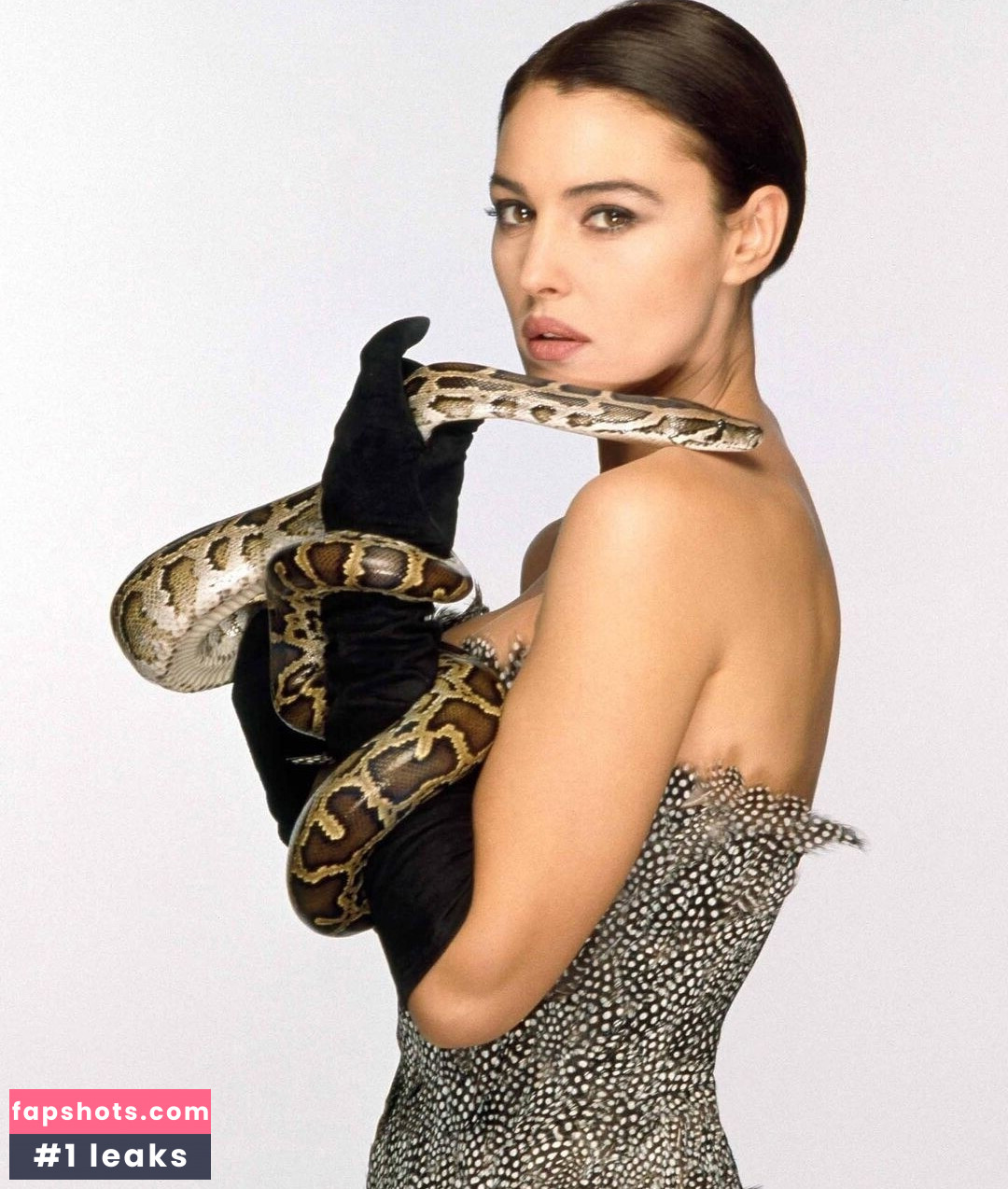 Monica Bellucci Nahé úniky fotek pouze od fanoušků #54 - Fapshots