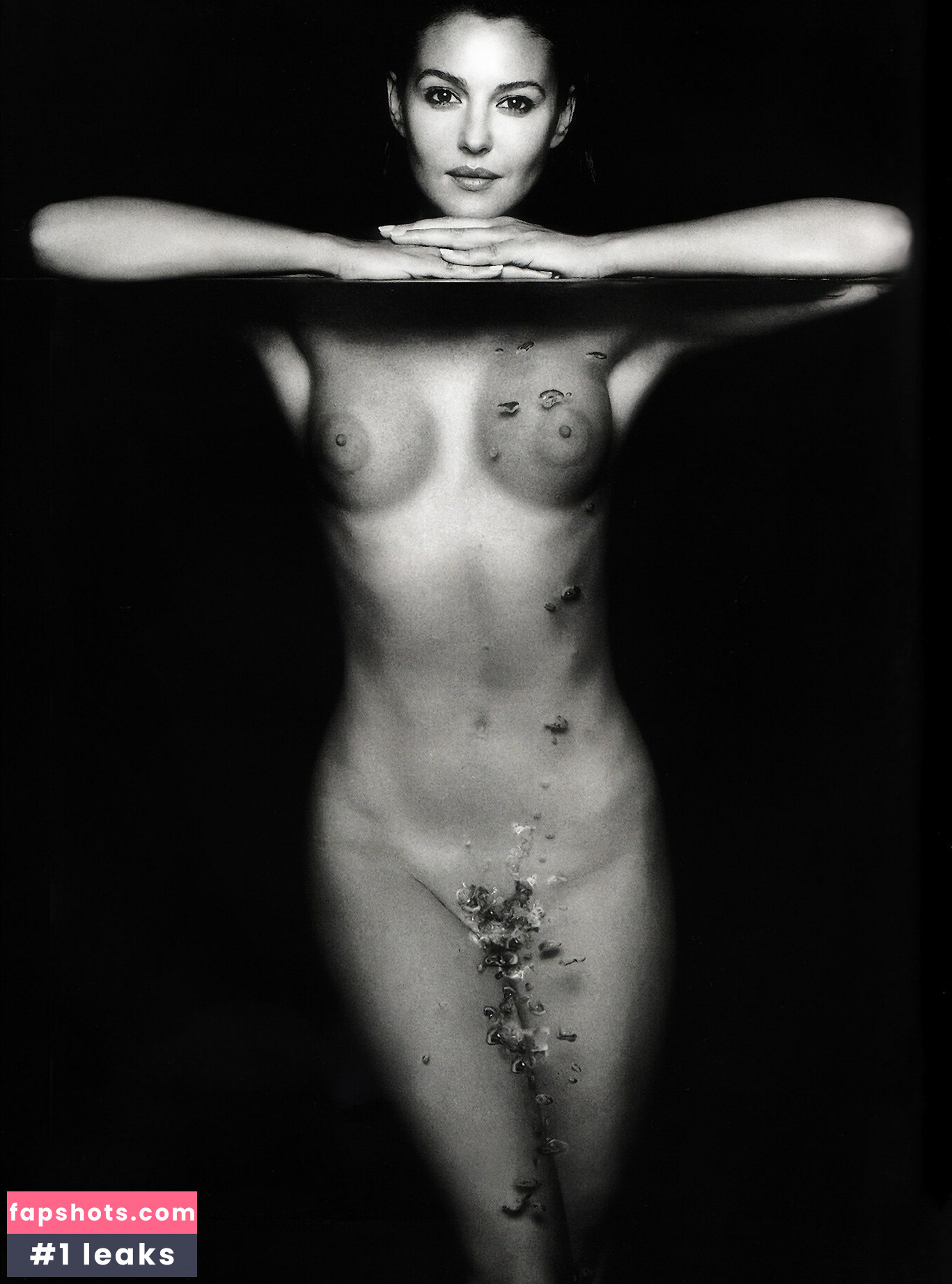 Monica Bellucci Nahé úniky fotek pouze od fanoušků #90 - Fapshots