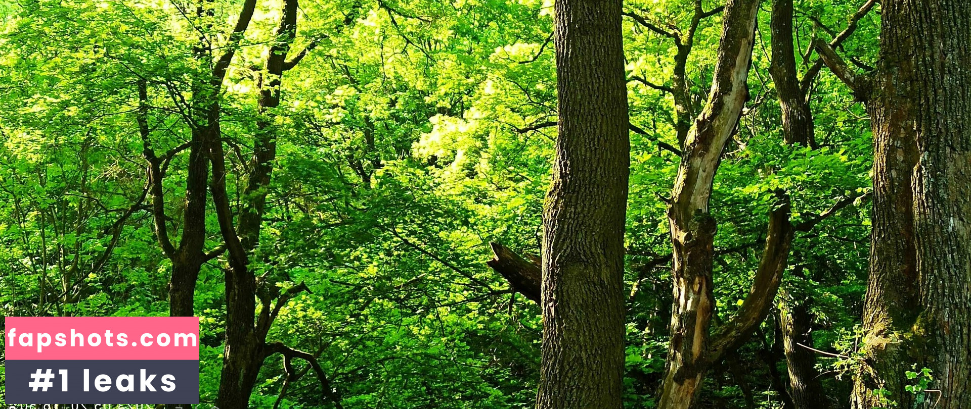 monicutex2 gallery photo #18