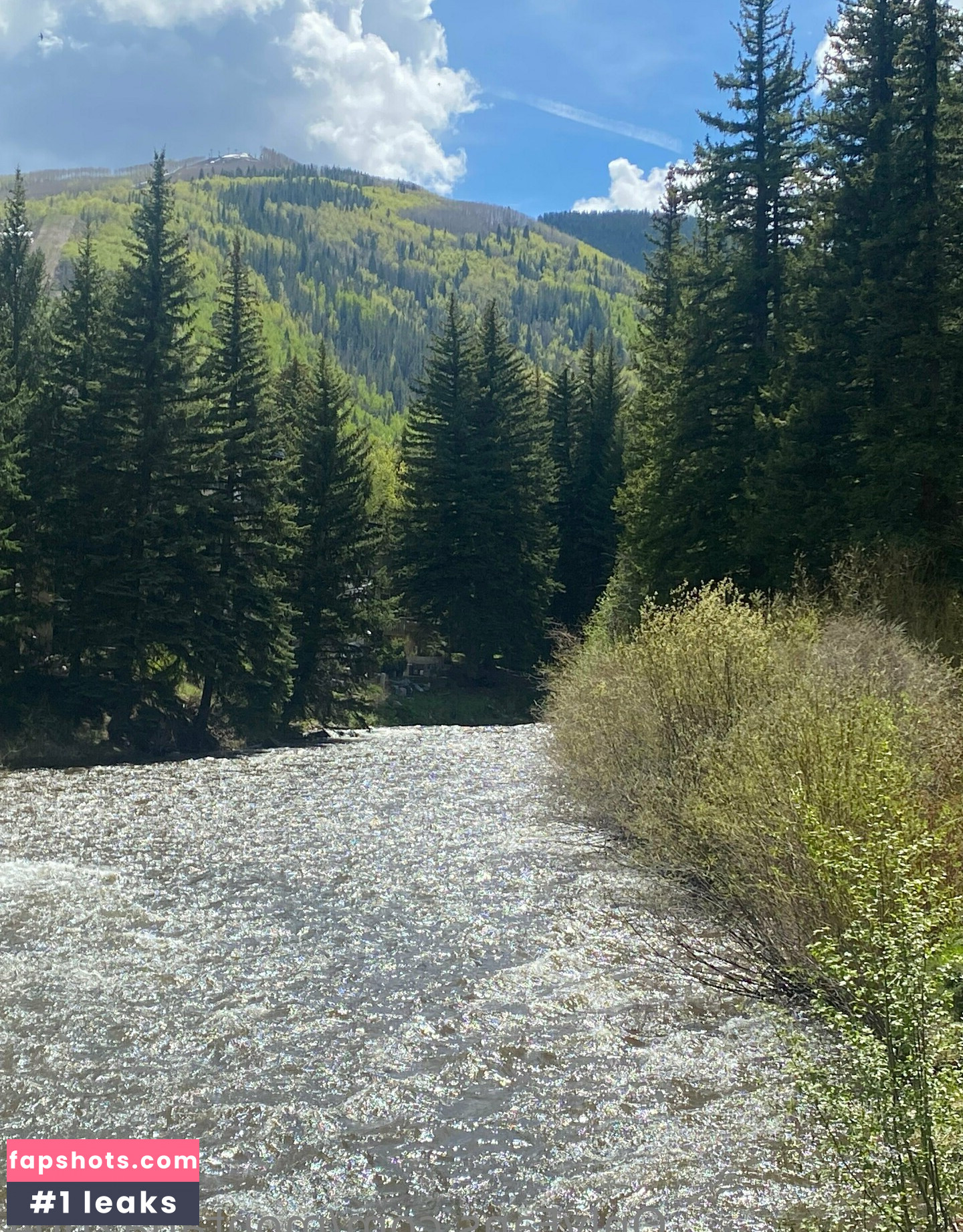 montana2004 gallery photo #5