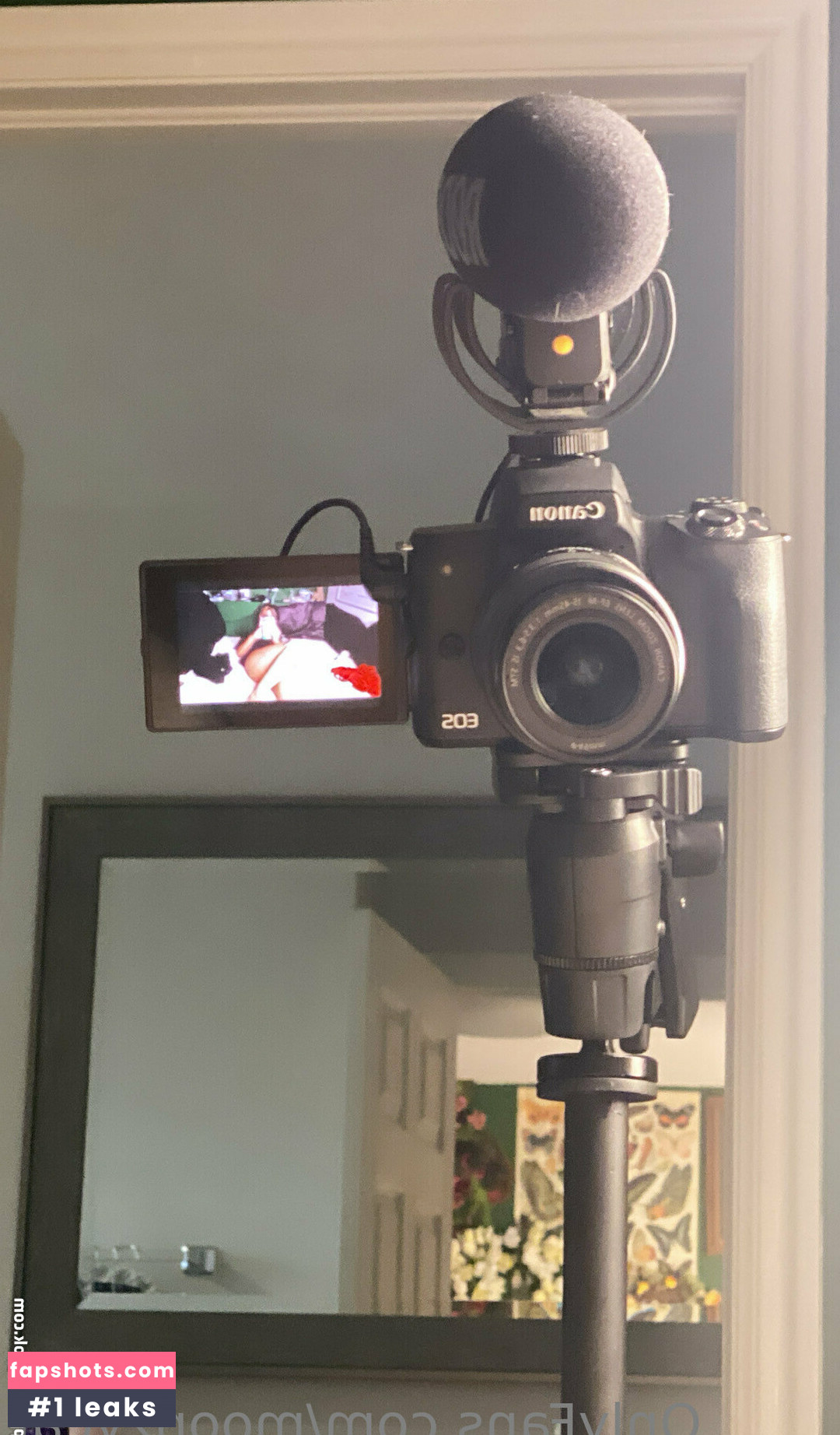 Moonzycat Nahé úniky fotek pouze od fanoušků #40 - Fapshots