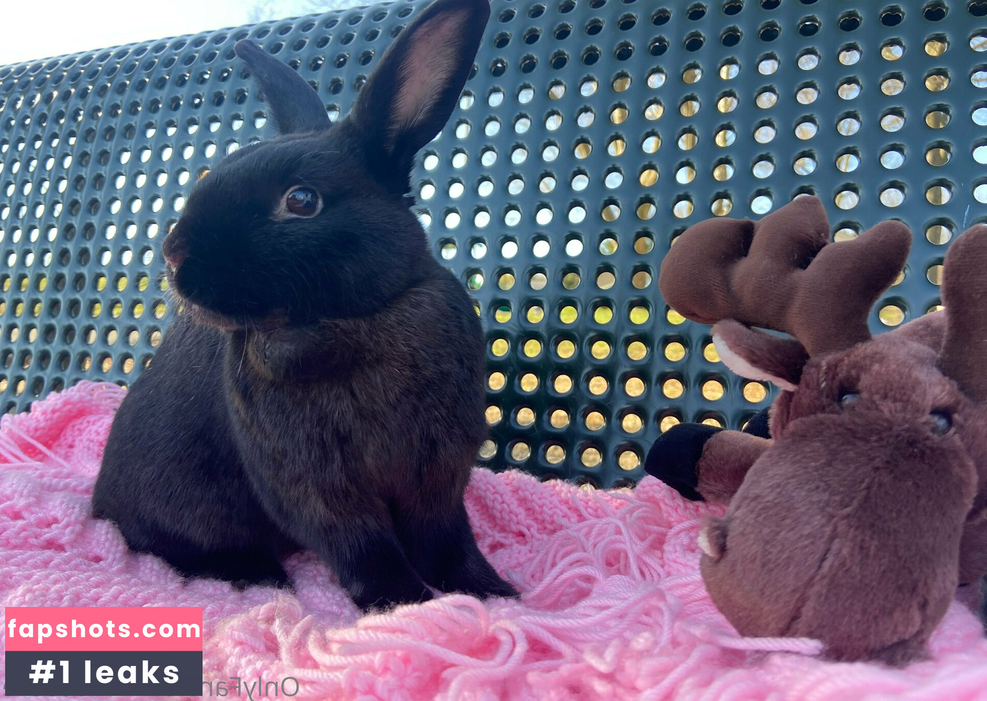 mooseve Nahé úniky fotek pouze od fanoušků #27 - Fapshots