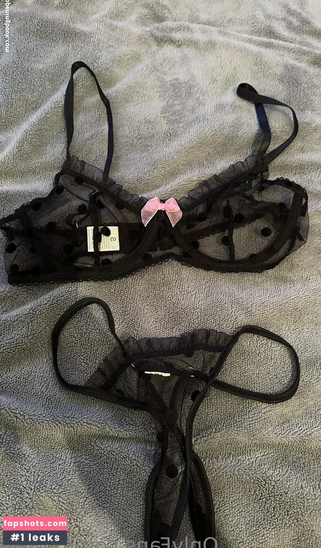 moree gallery photo #21