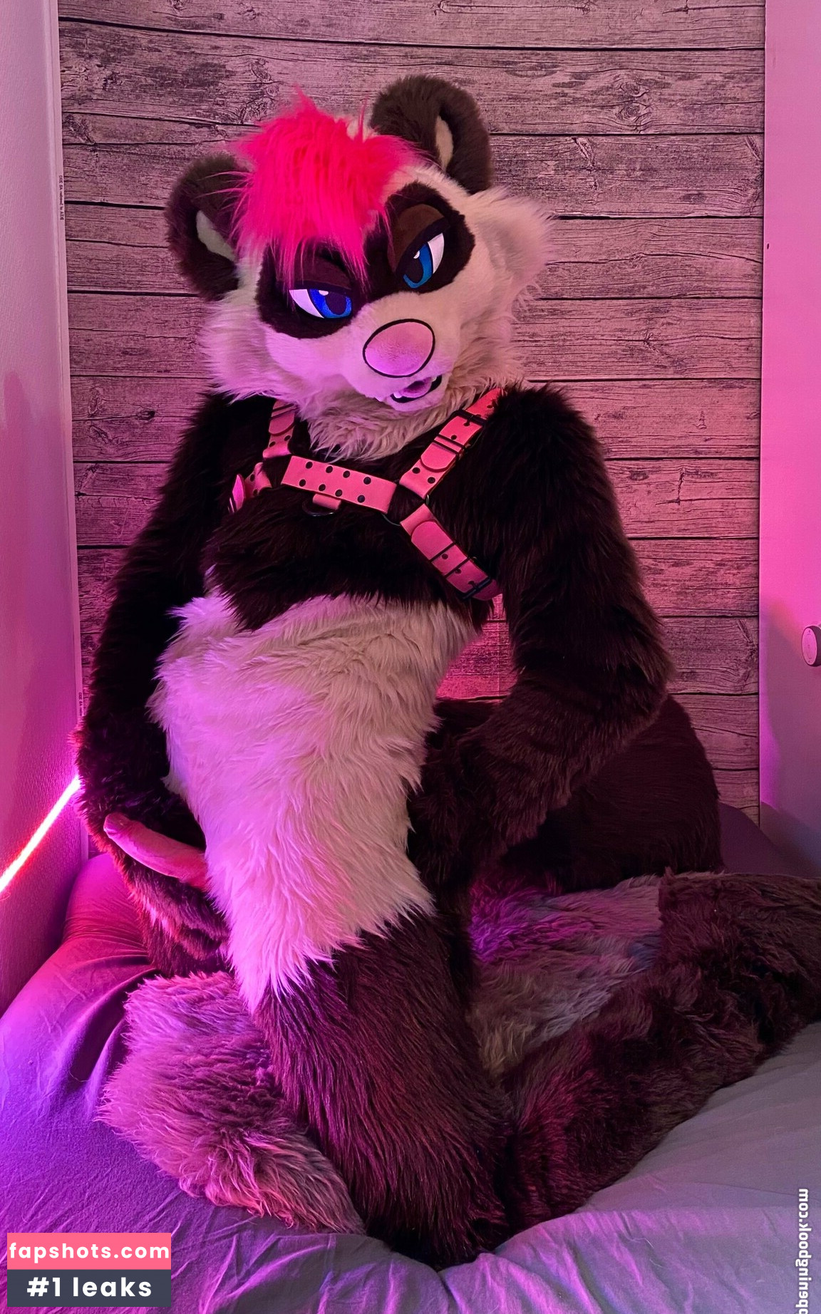 moremaitai Nahé úniky fotek pouze od fanoušků #27 - Fapshots