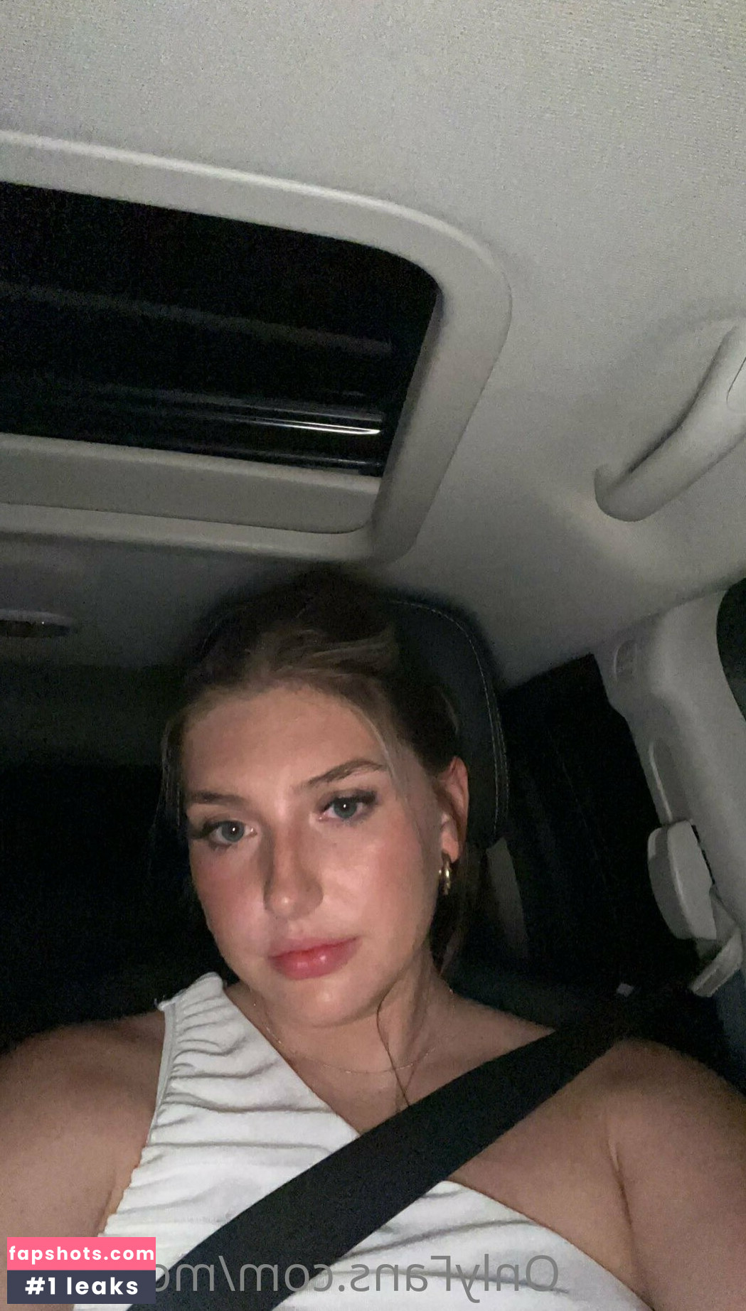 morg.org gallery photo #3