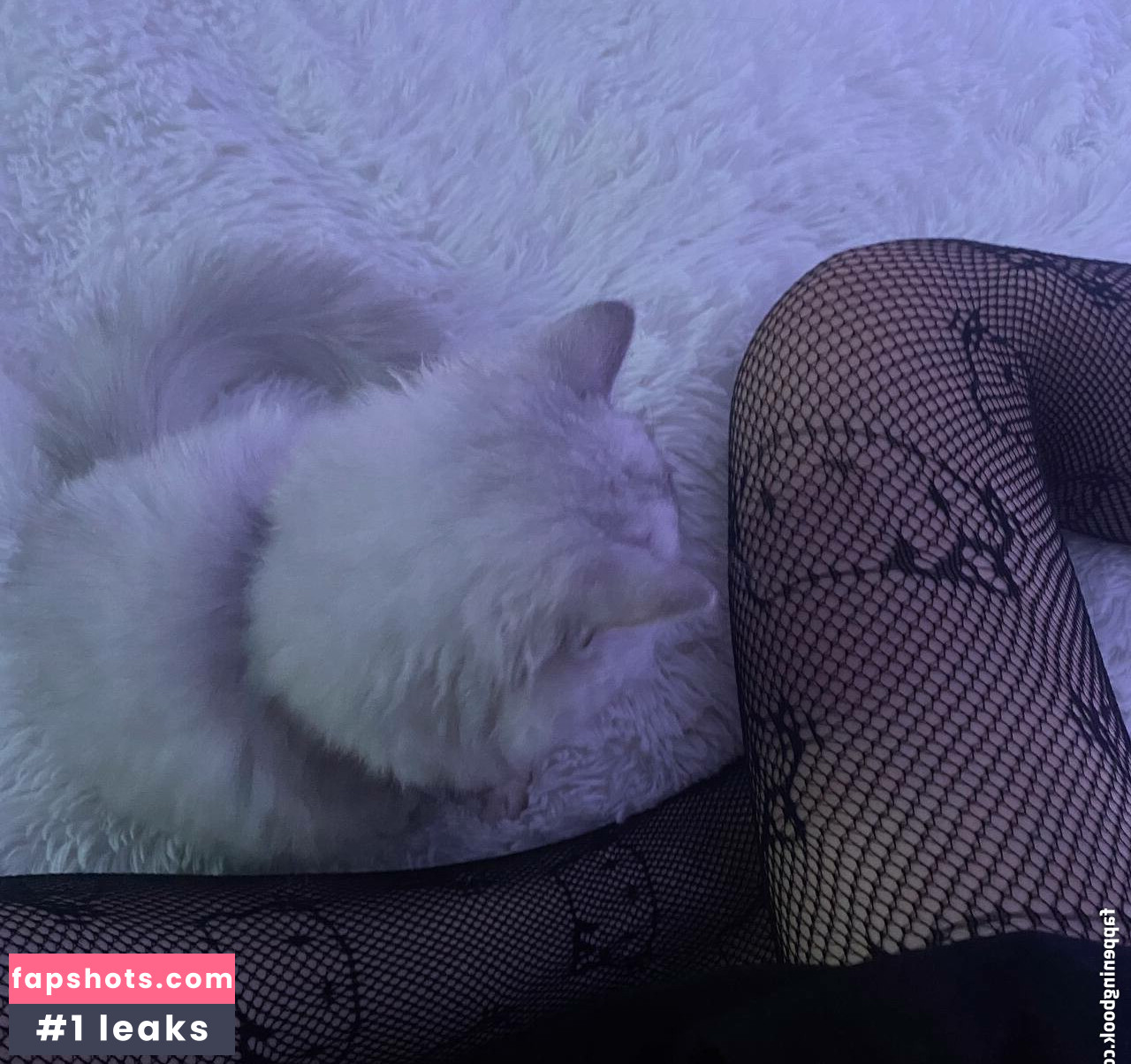 morphilina gallery photo #19