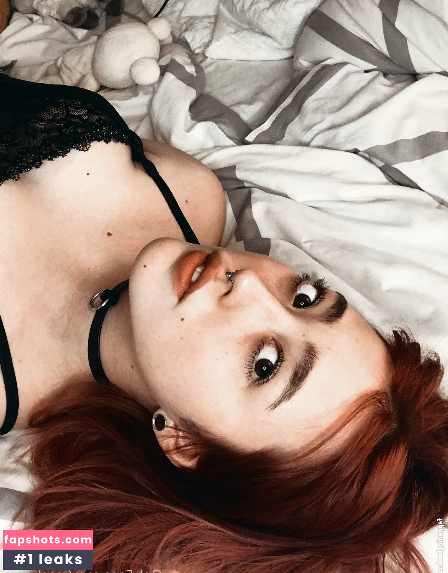 moshpitmi gallery photo #36