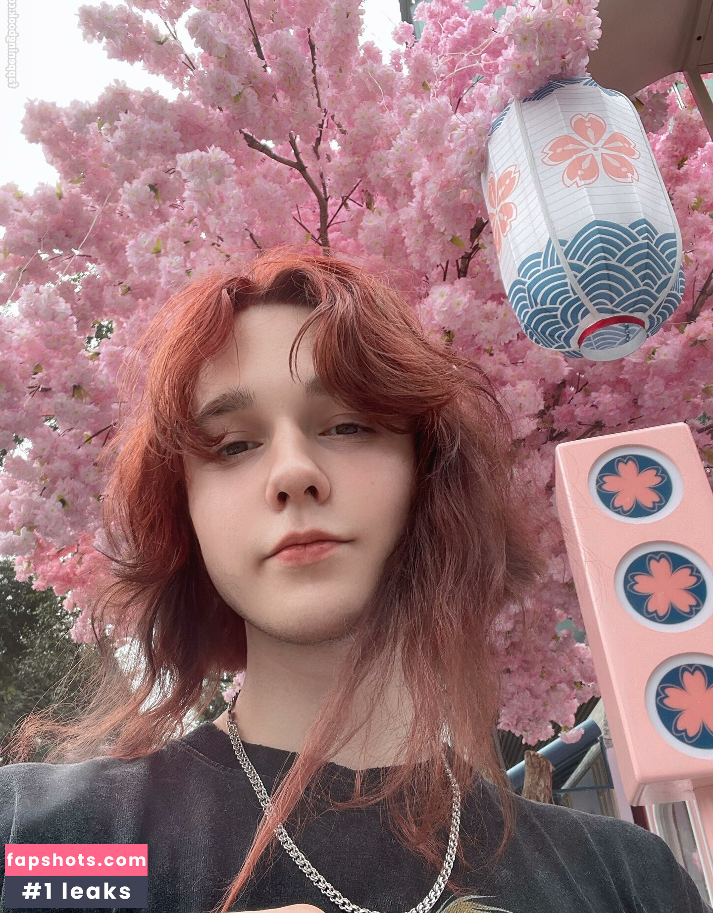 Mossy Barmales gallery photo #9