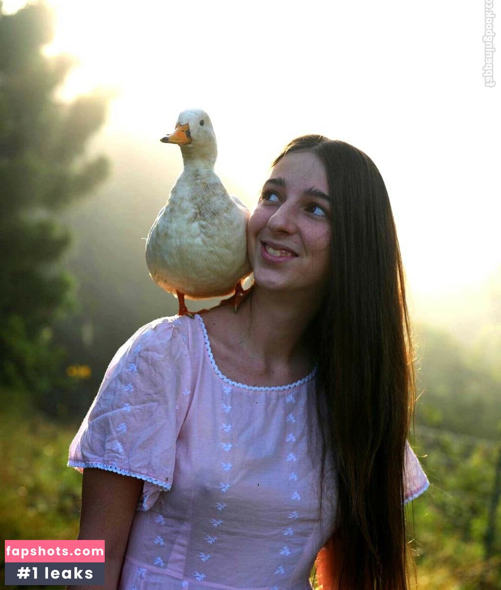 Mother The Mountain Farm gallery photo #29