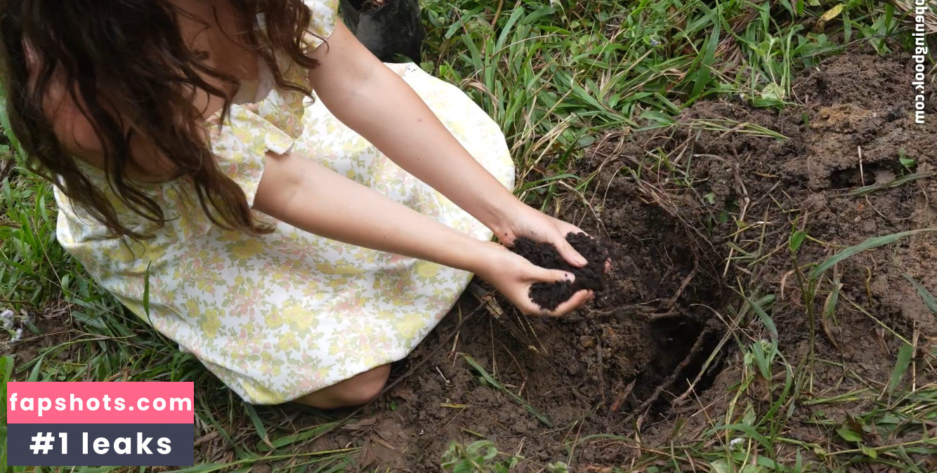 Mother The Mountain Farm gallery photo #54