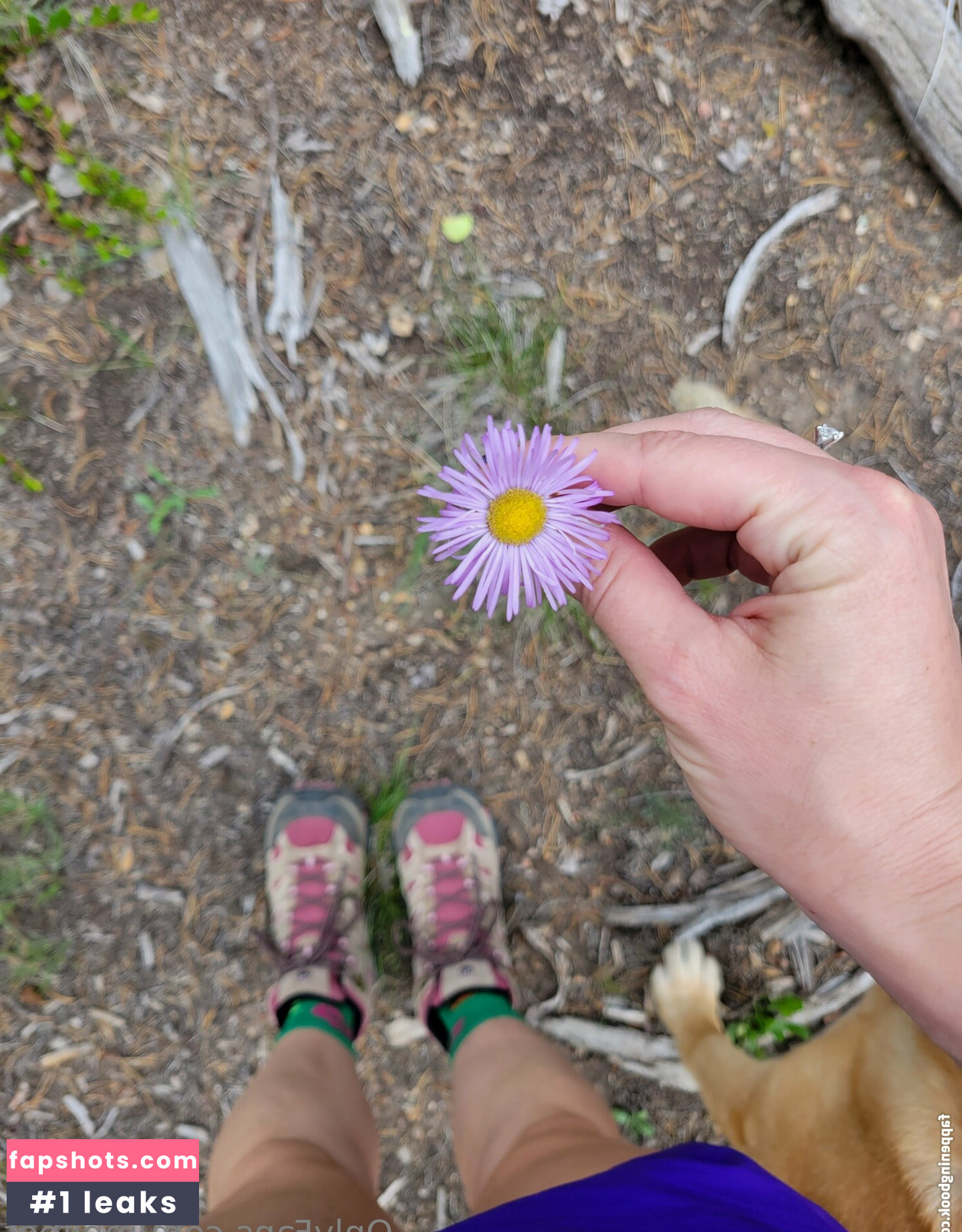 mplfeet gallery photo #3