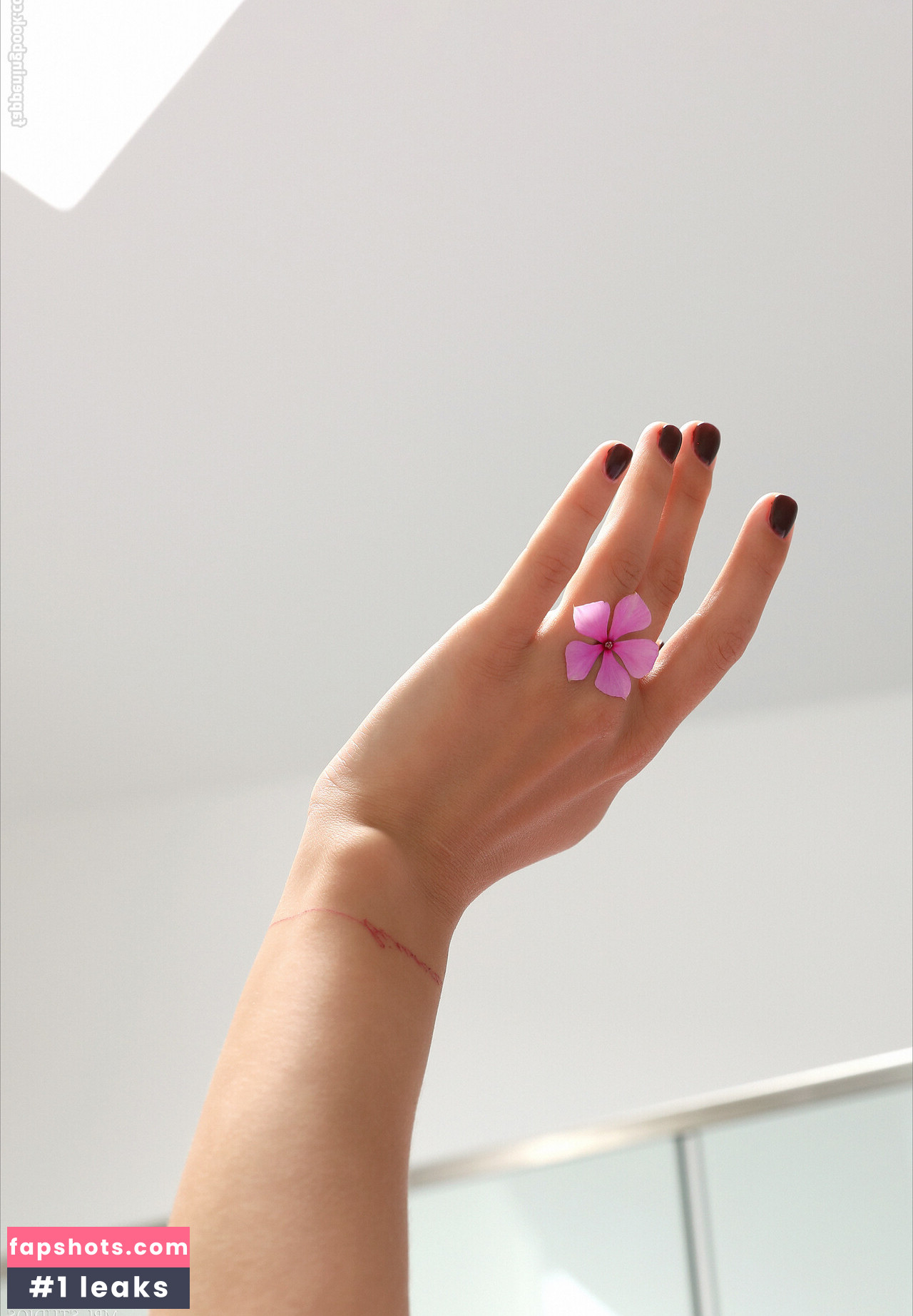 MPLStudios gallery photo #248