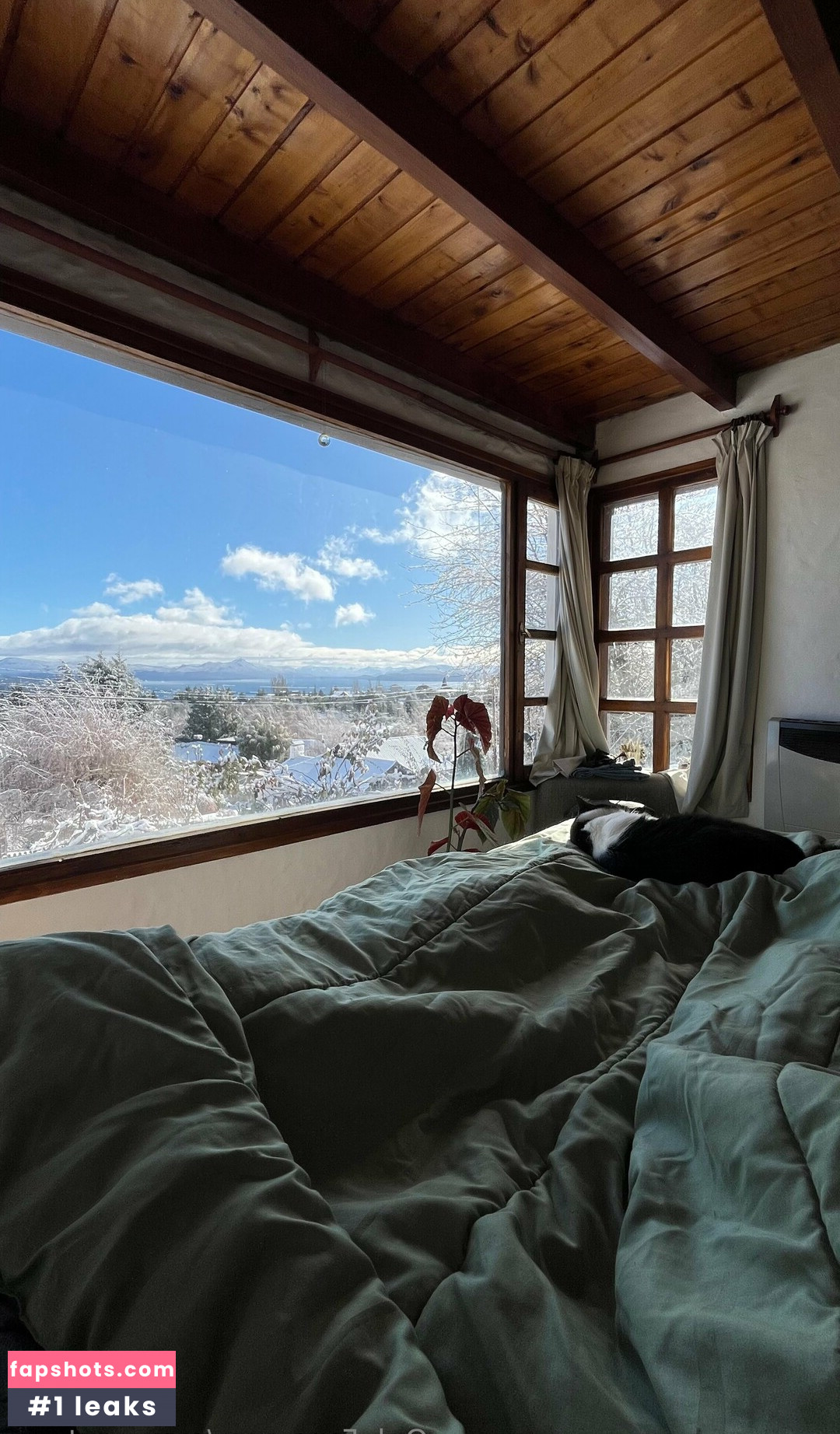 mravenstorm gallery photo #11