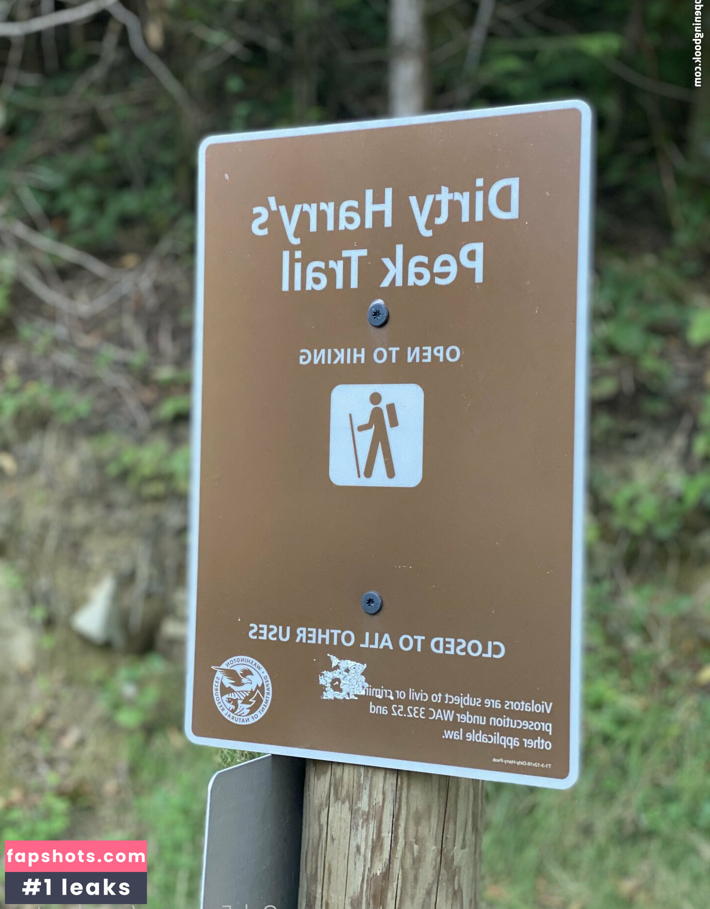 ms.adventure gallery photo #2