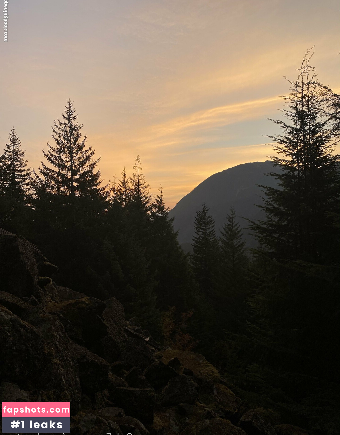 ms.adventure gallery photo #10