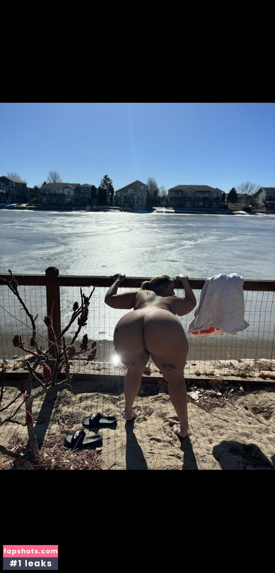 Ms Dondada gallery photo #4