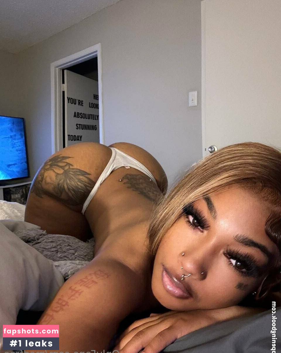 msdfree gallery photo #2