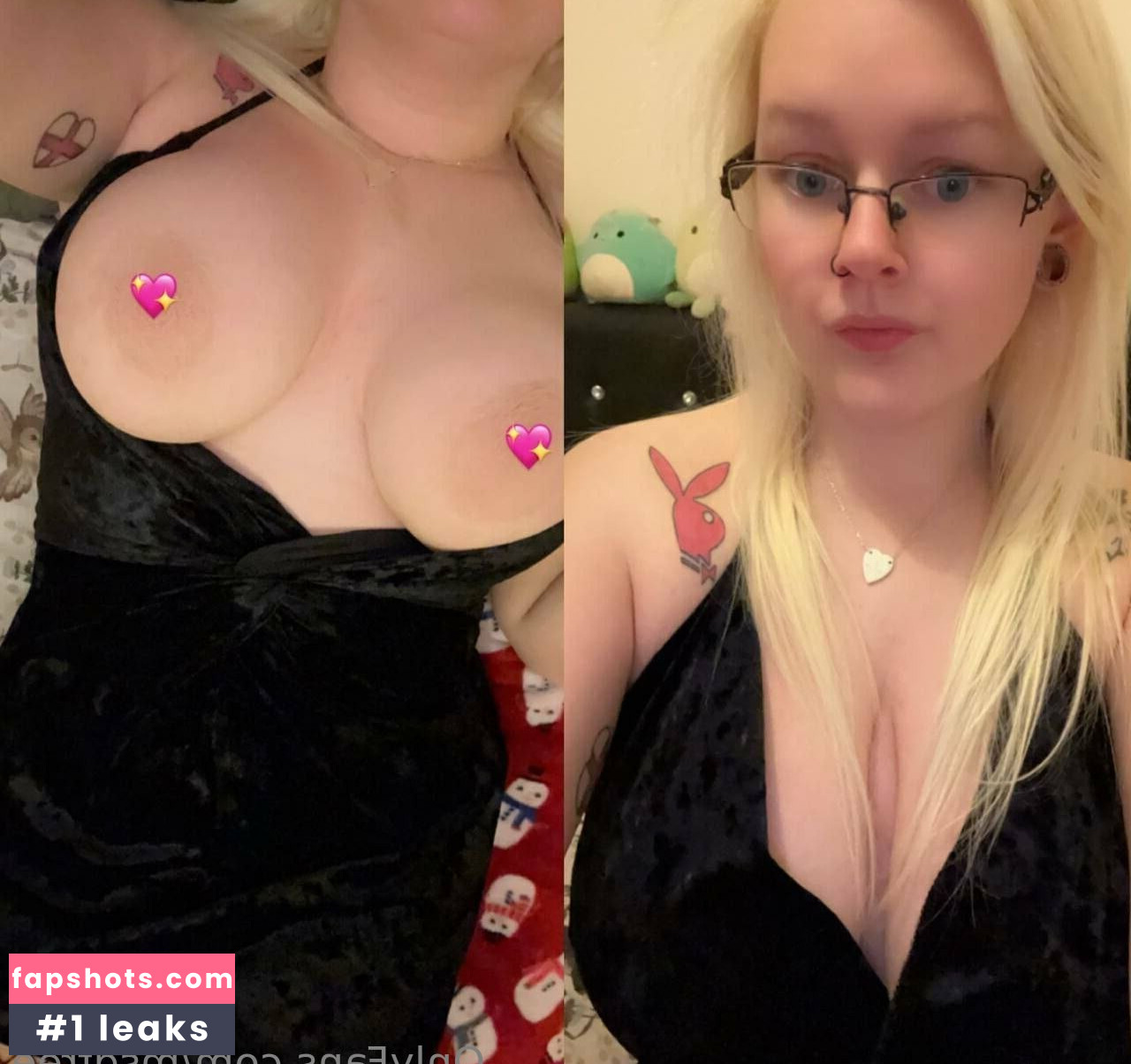 msdfree gallery photo #15