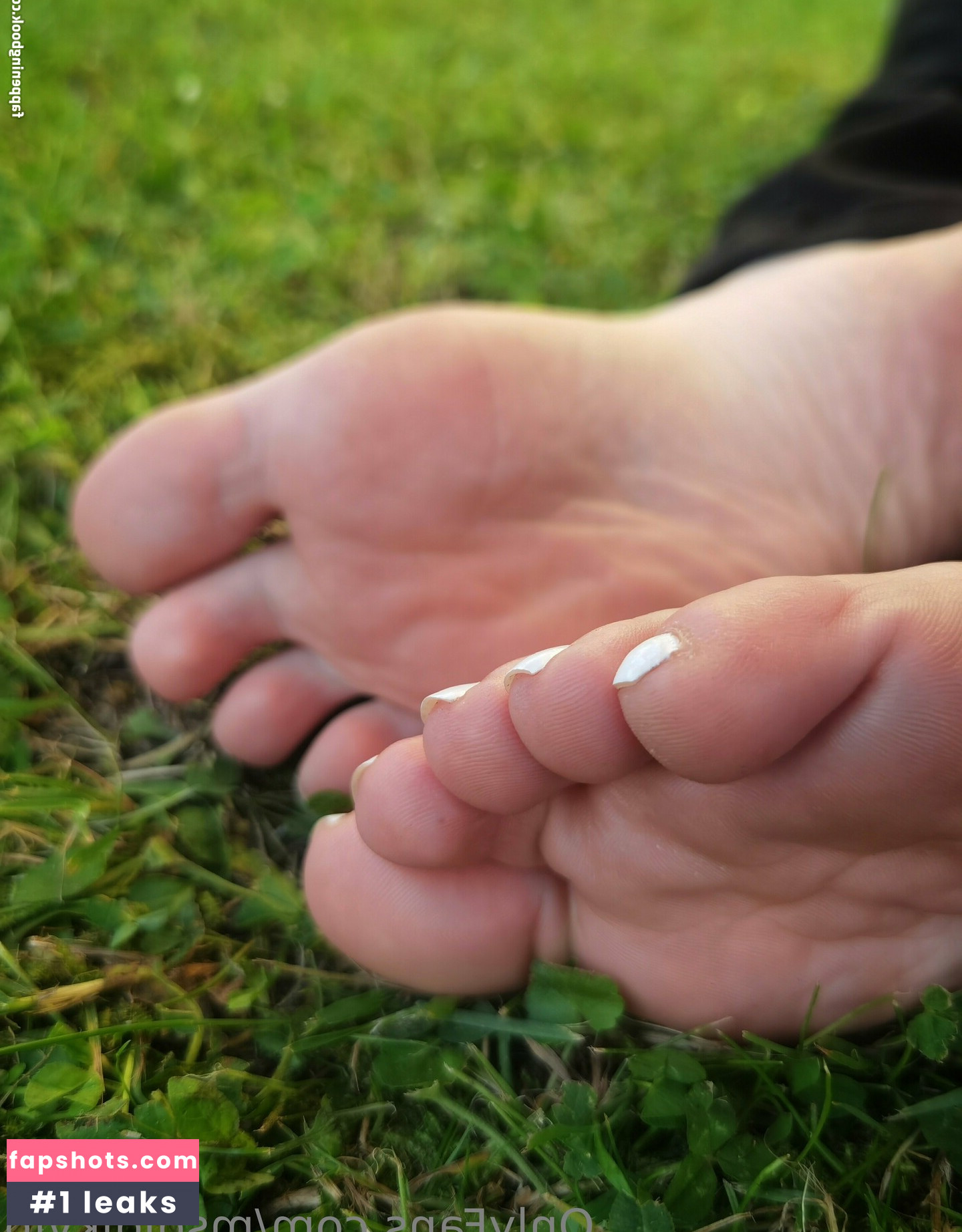 msdidikvip gallery photo #11