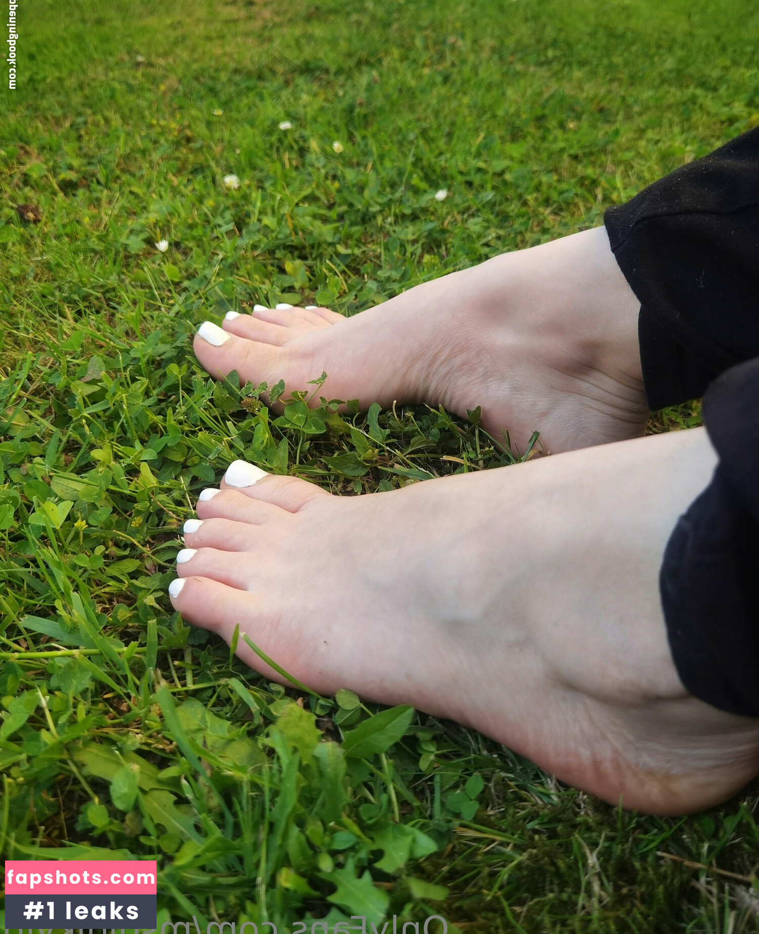 msdidikvip gallery photo #18