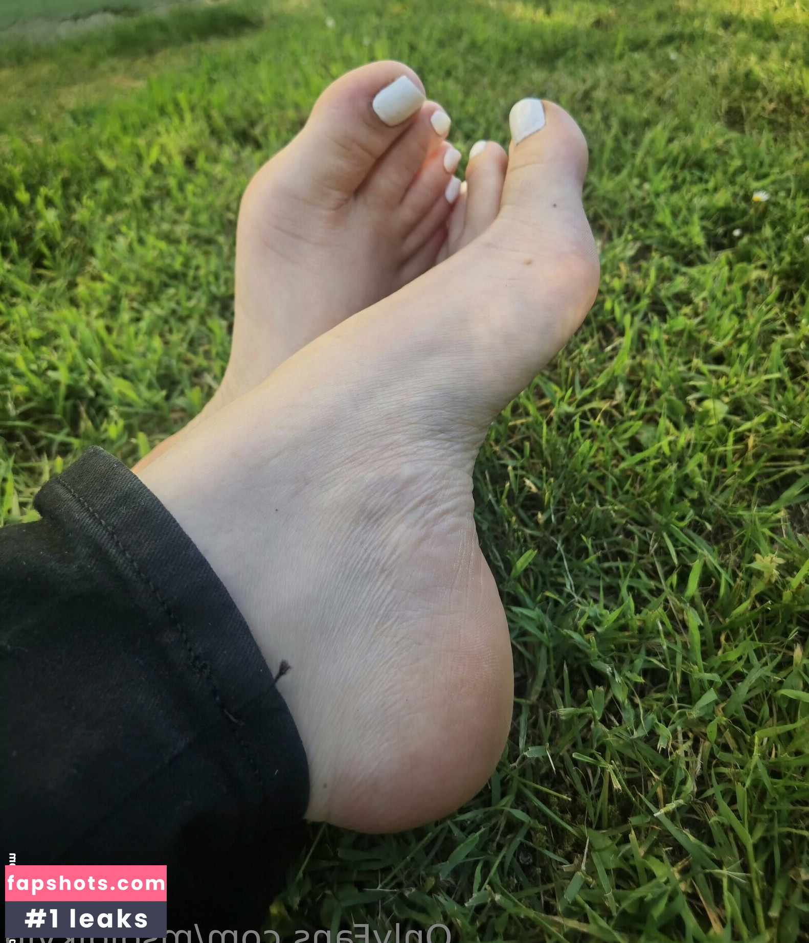 msdidikvip gallery photo #19