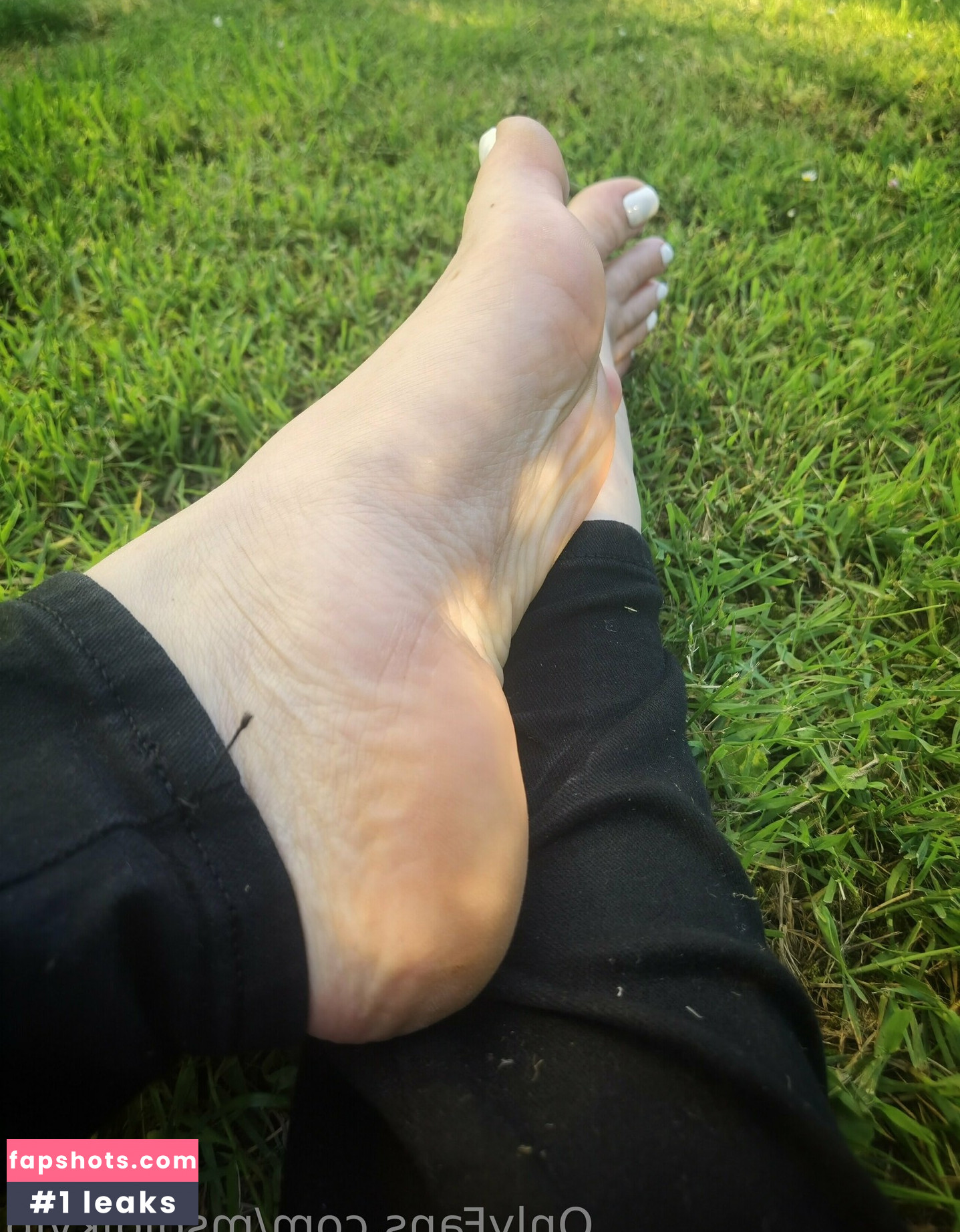 msdidikvip gallery photo #20