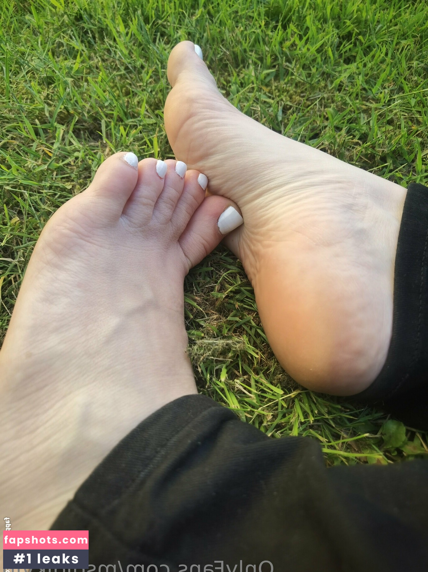 msdidikvip gallery photo #24