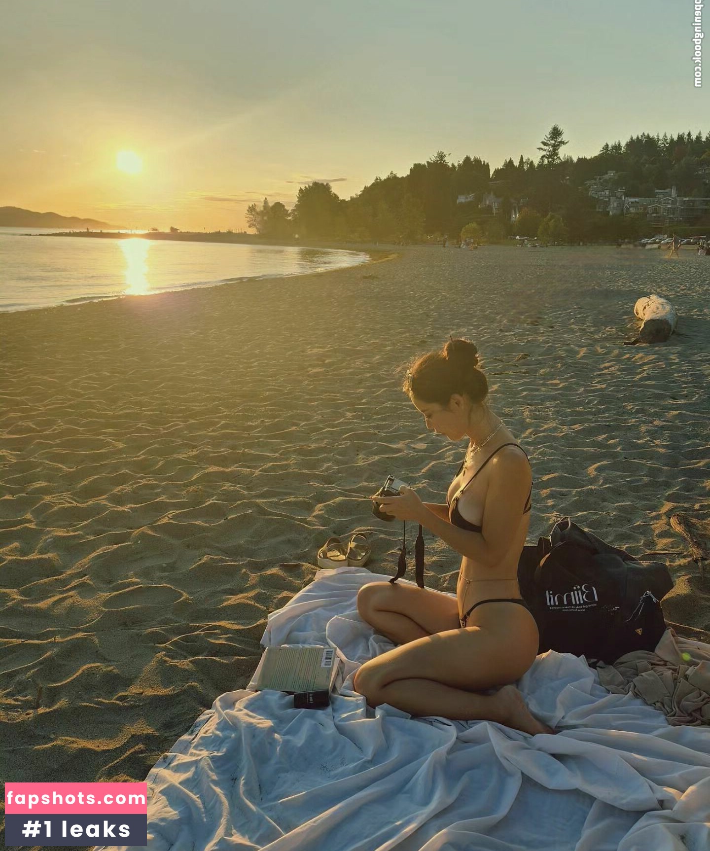 msdongan gallery photo #246