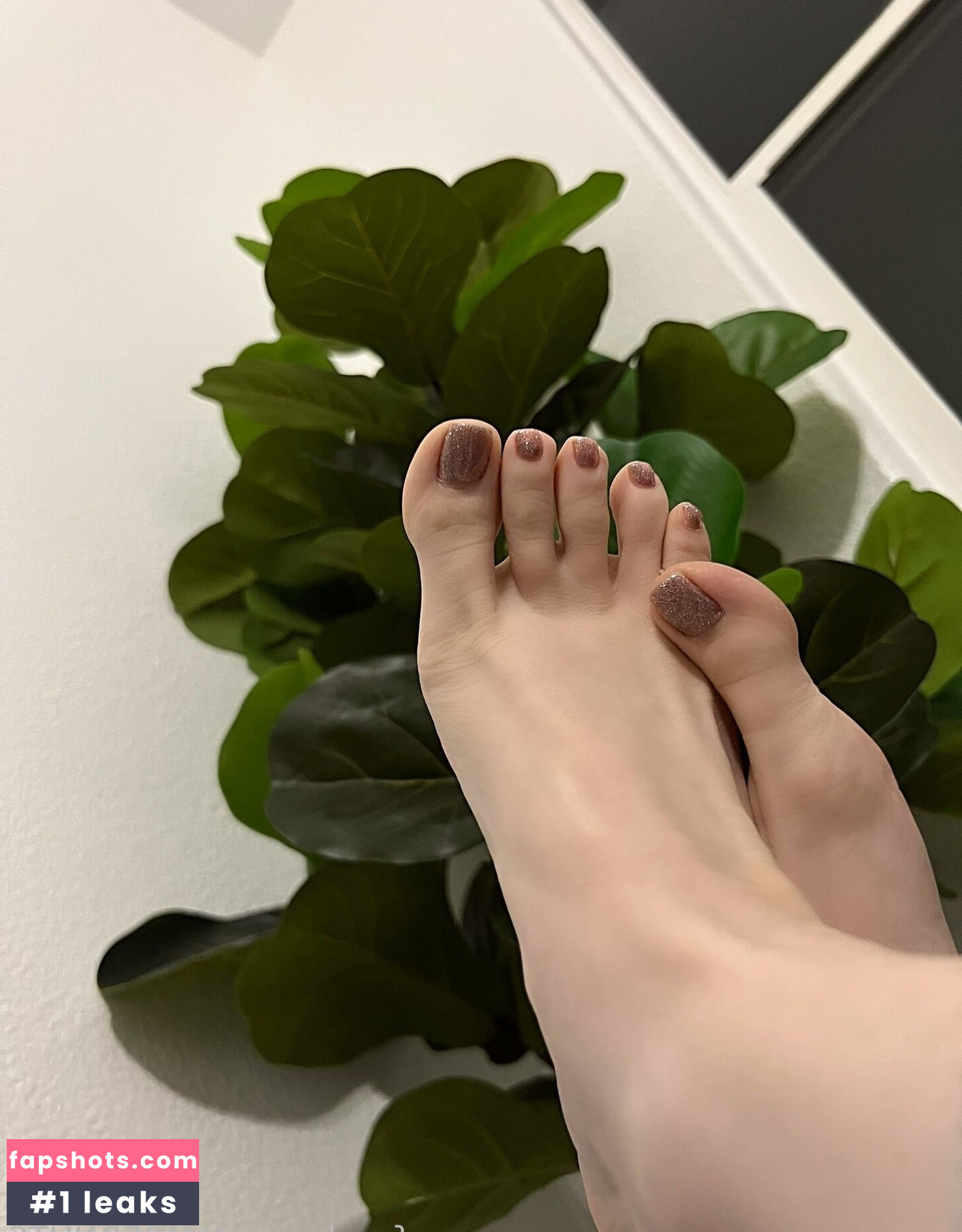 Msfiiire gallery photo #82