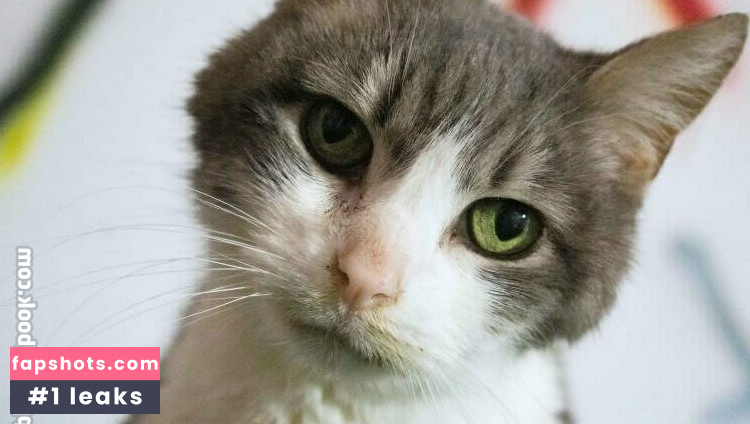 msrazorde gallery photo #23