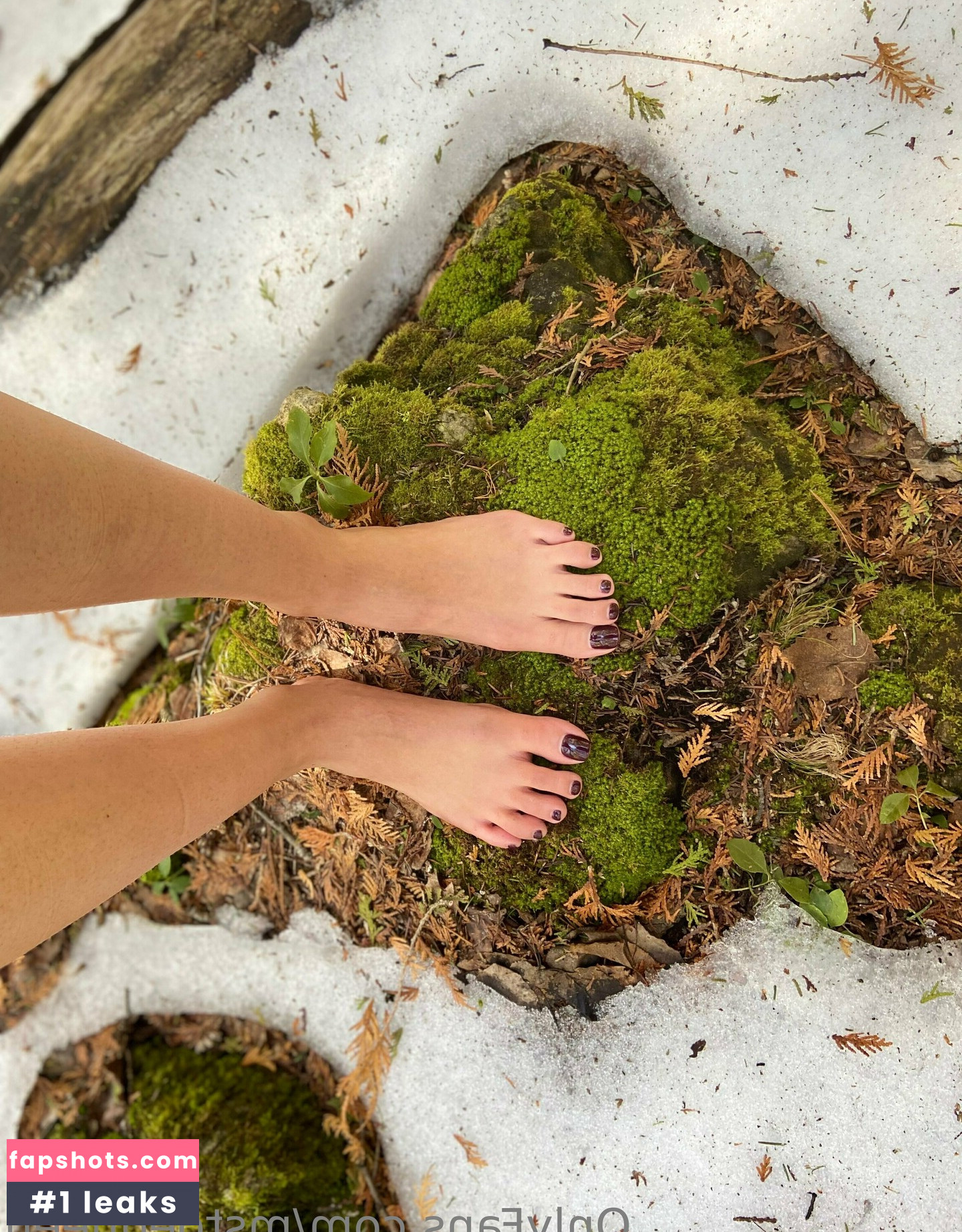 mstoequeen gallery photo #27