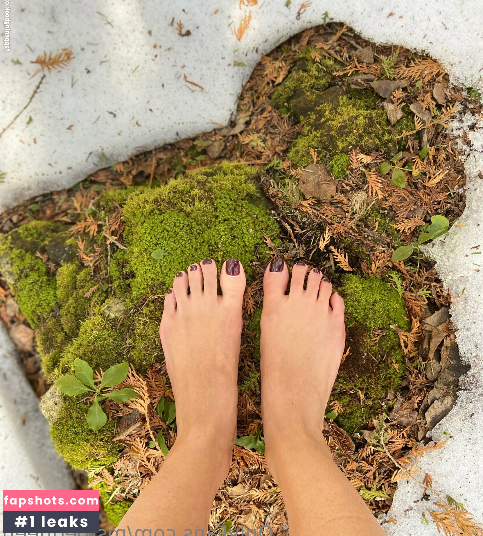 mstoequeen gallery photo #39