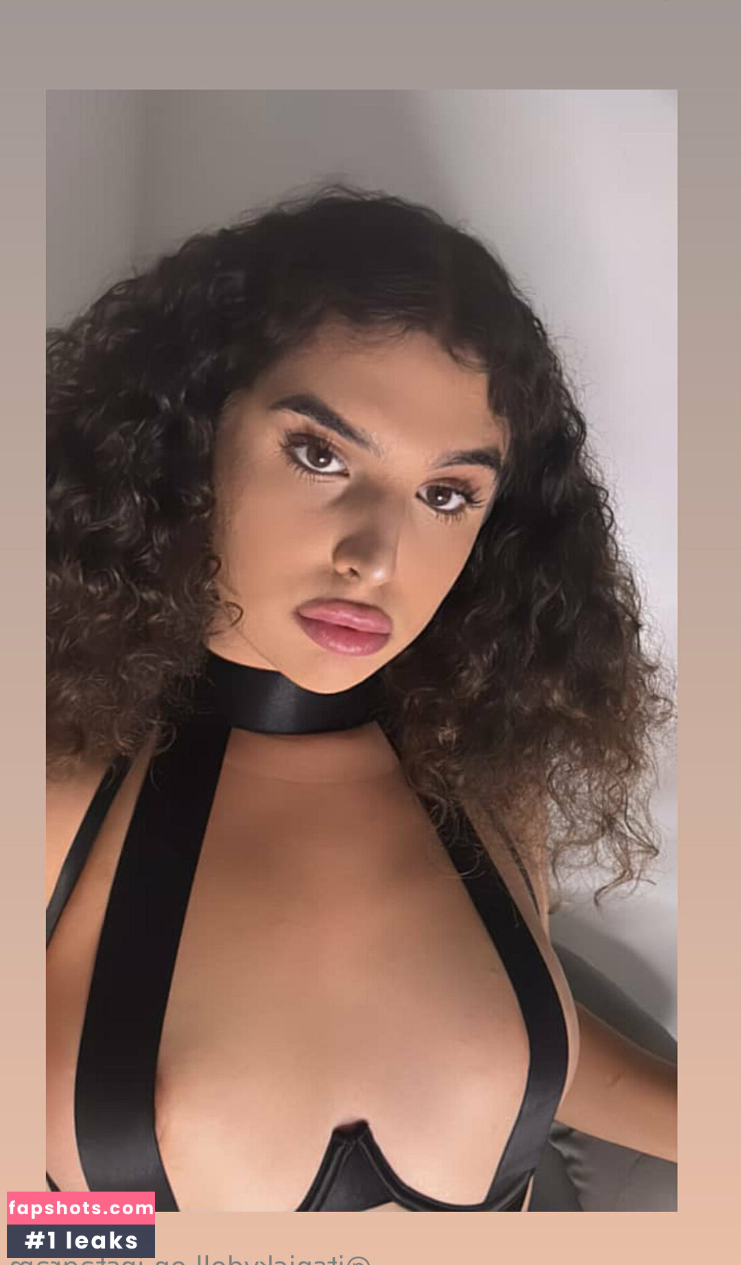 mstvy gallery photo #10