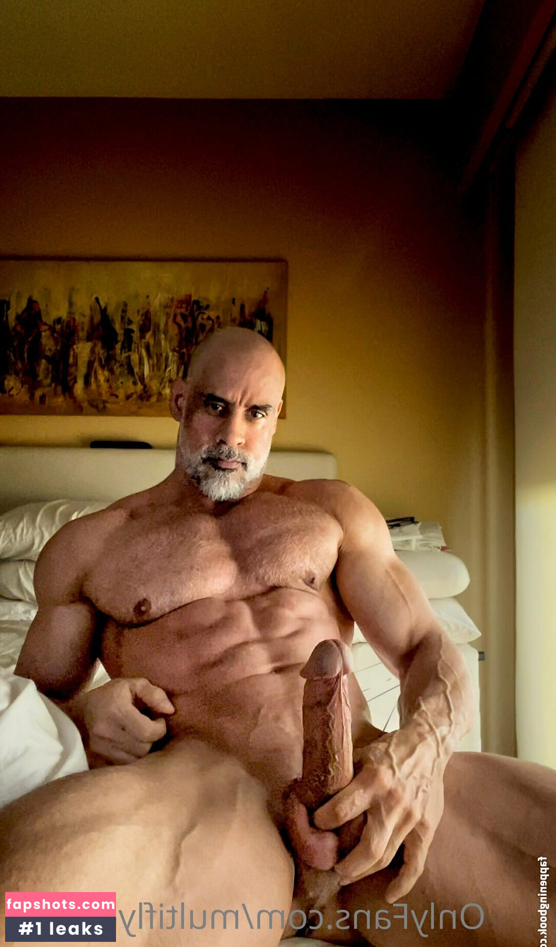 multiflyer2019 gallery photo #8