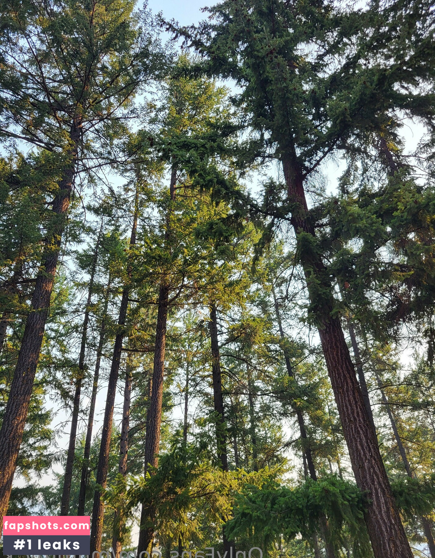 mummy_k gallery photo #6