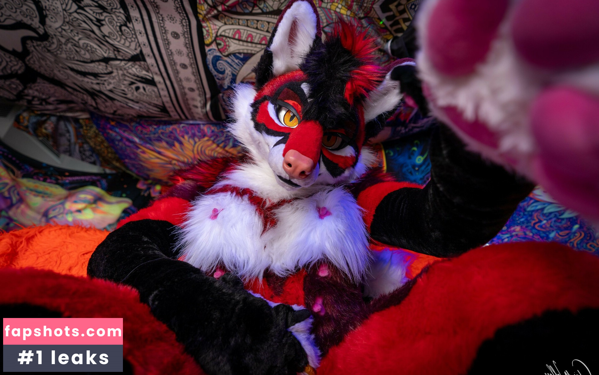 Murrsuit gallery photo #114