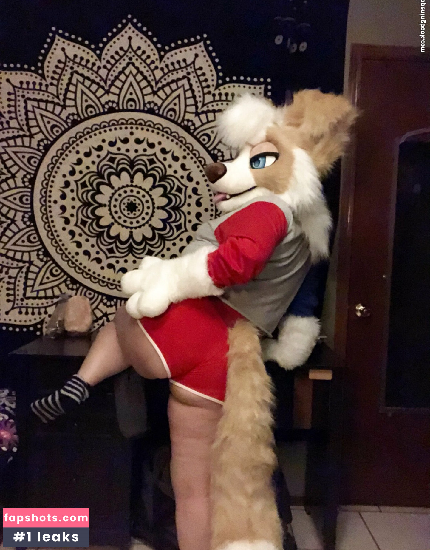 Murrsuit gallery photo #157