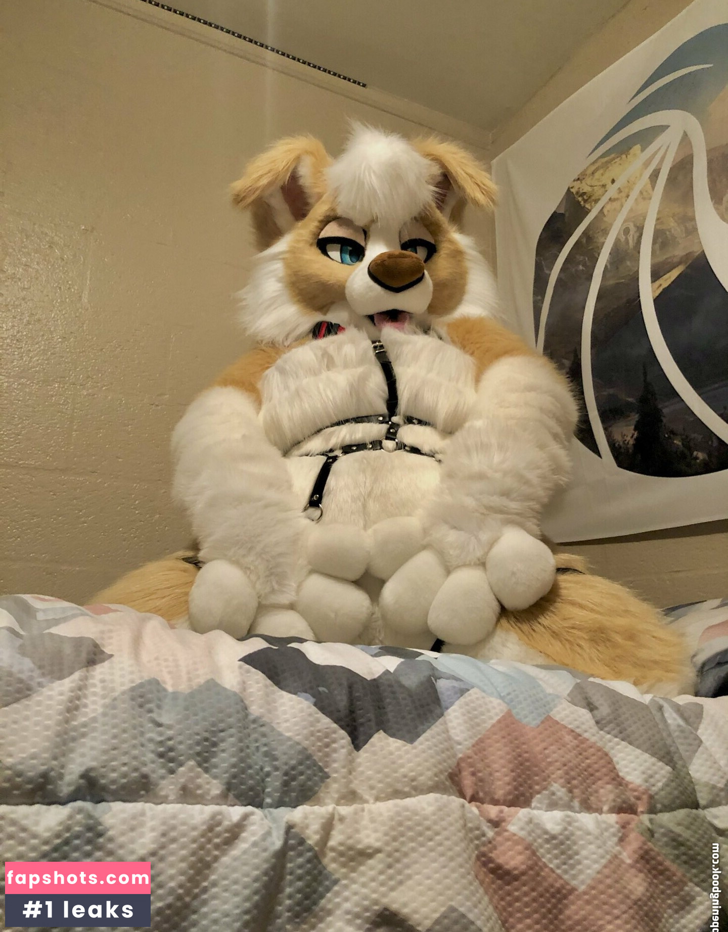 Murrsuit gallery photo #159