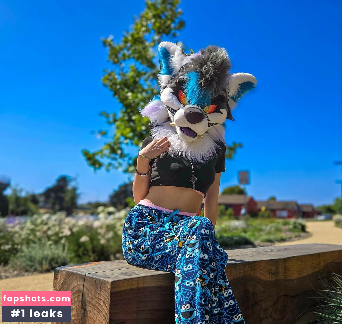 Murrsuit gallery photo #24
