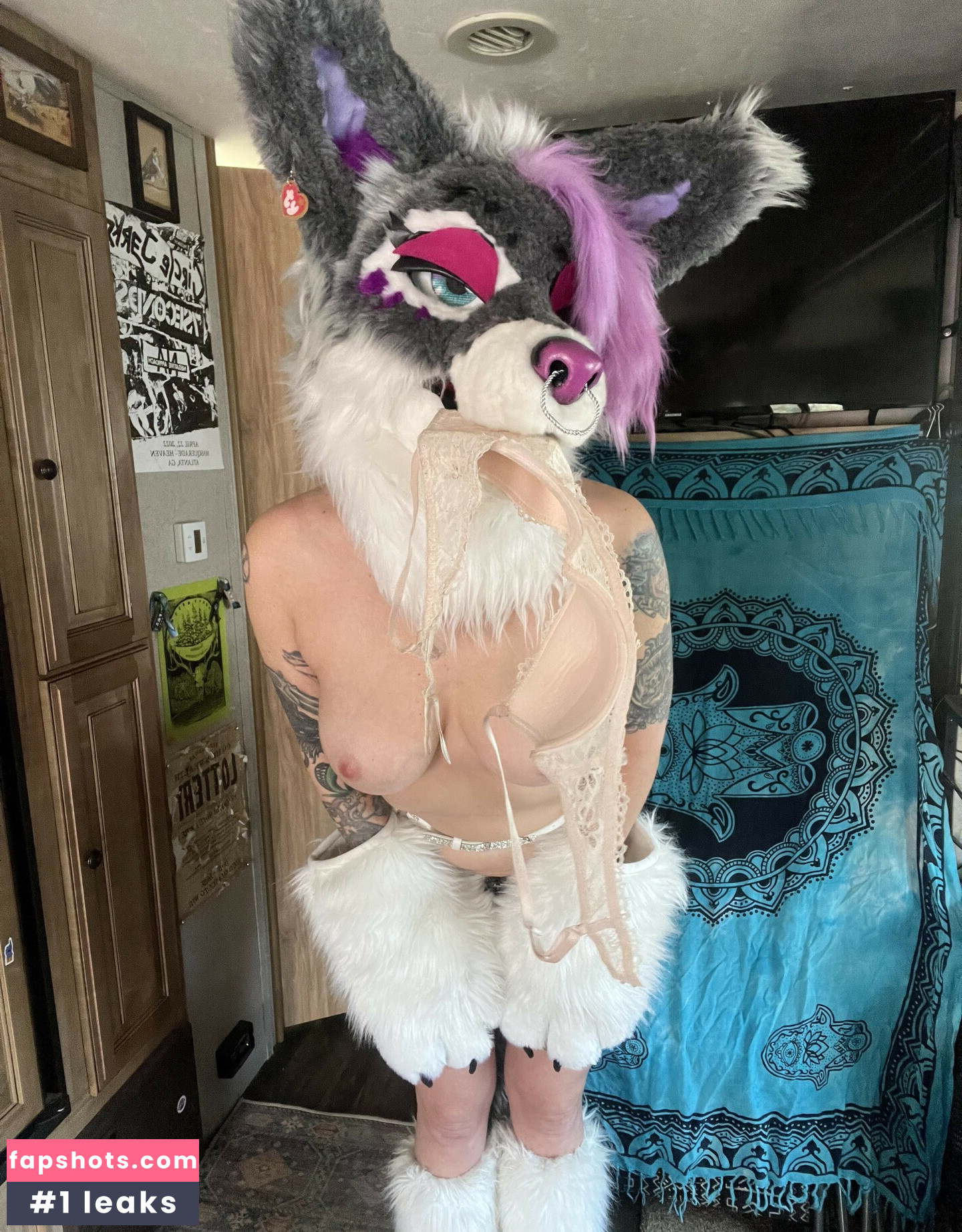 Murrsuit gallery photo #76