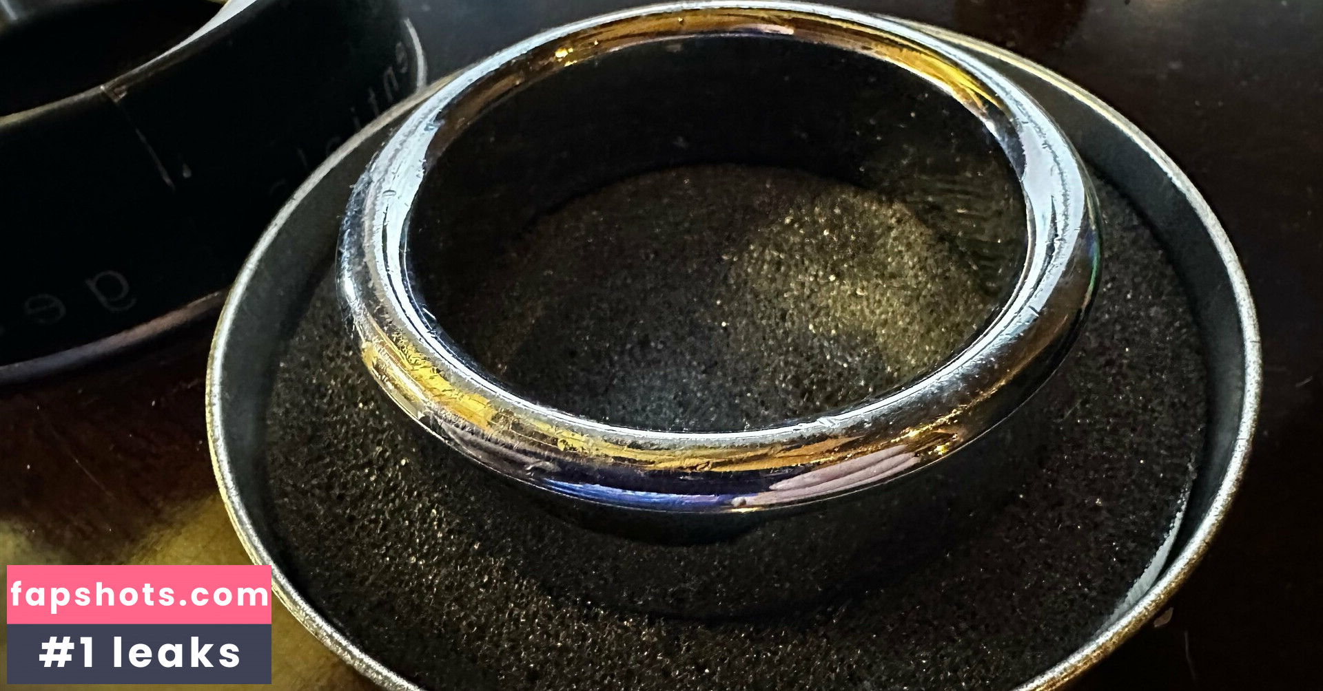 musclebulls gallery photo #11